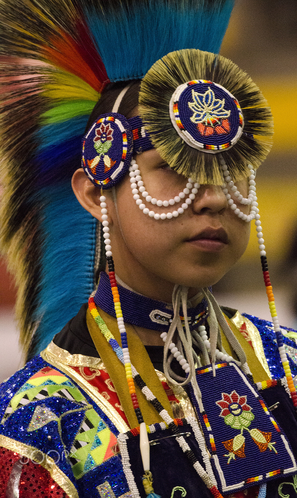 Nikon D7000 + Nikon AF-S Nikkor 80-400mm F4.5-5.6G ED VR sample photo. Native pride 21 photography