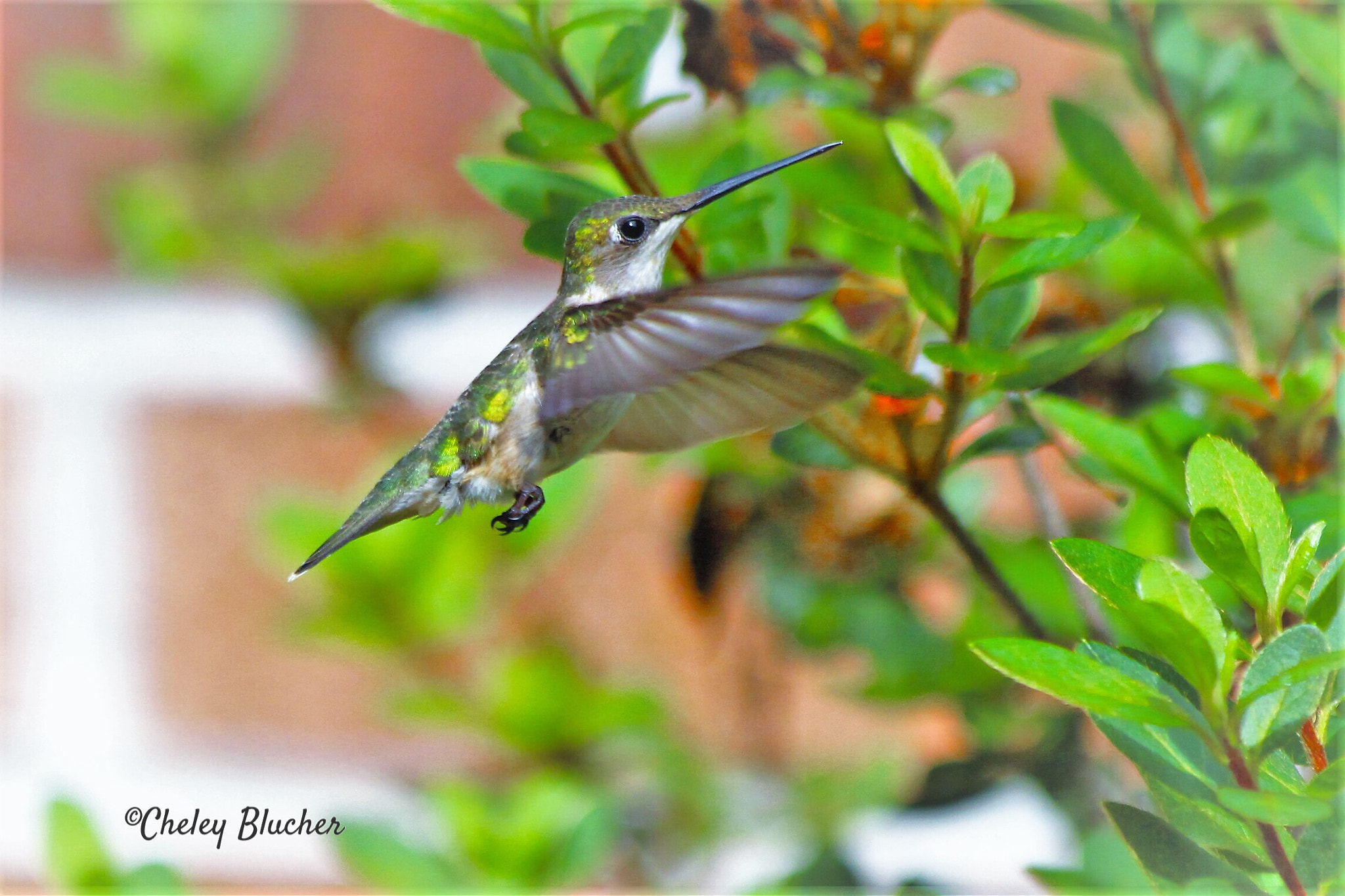 Canon EF 70-300mm F4-5.6 IS USM sample photo. Beautiful day! photography