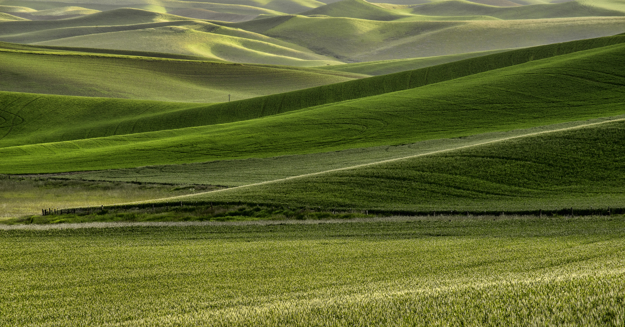 Sony 75-300mm F4.5-5.6 sample photo. Rolling beauty photography