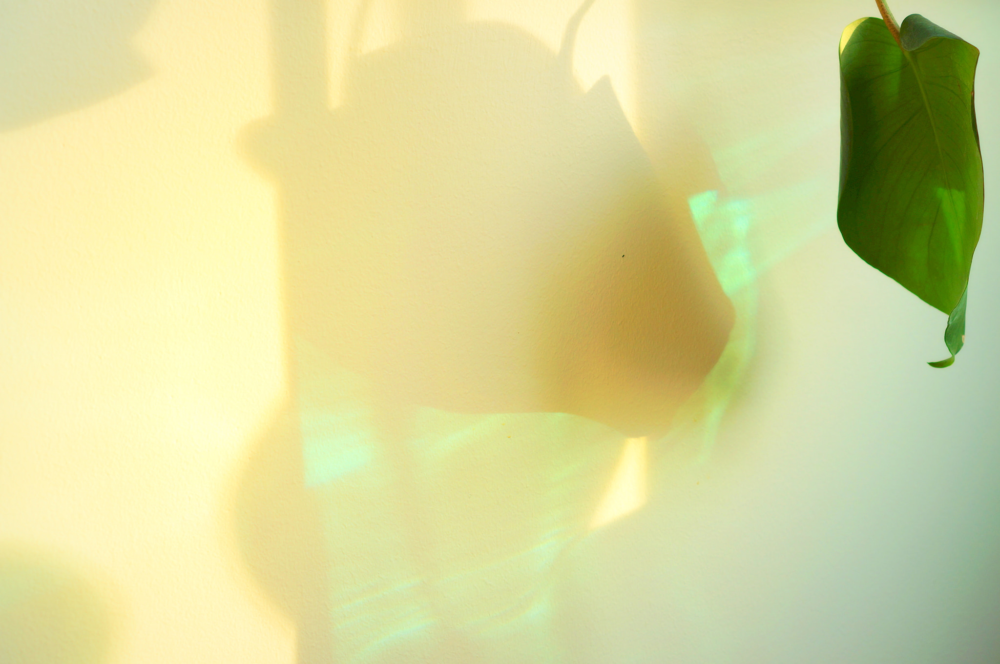 Sony Alpha NEX-5R + Sony E 35mm F1.8 OSS sample photo. Accidental art on the wall photography