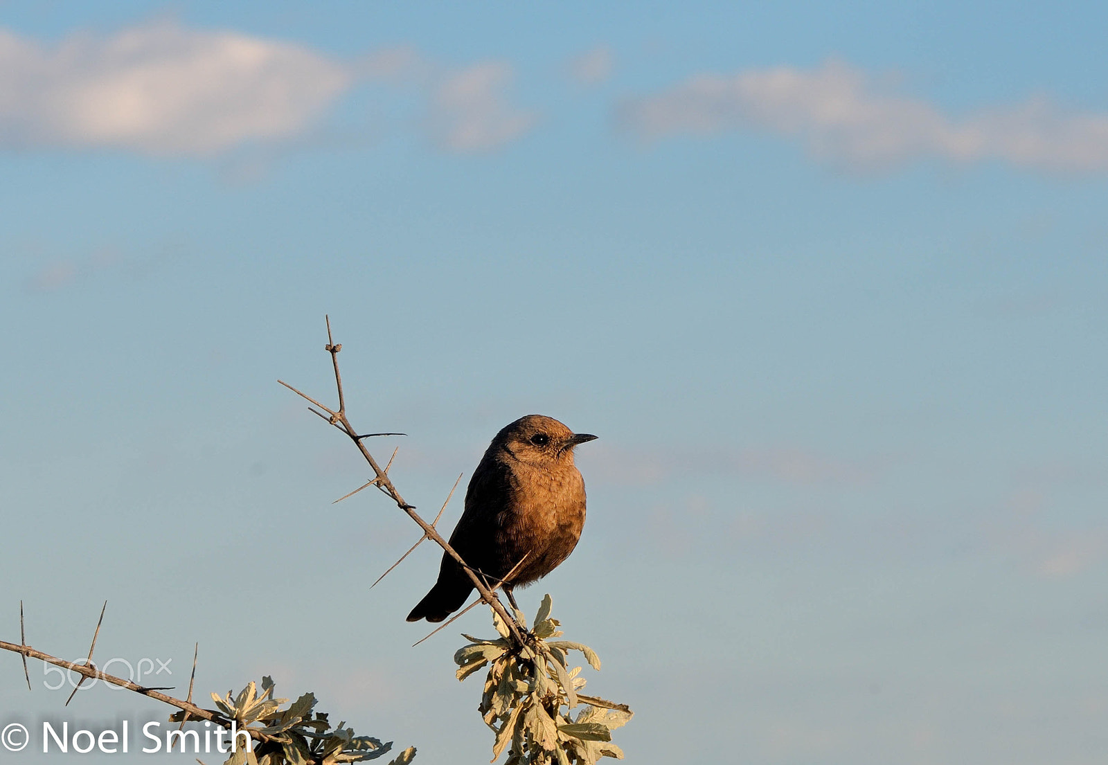 Nikon D300S + Sigma 120-300mm F2.8 EX DG HSM sample photo. 27229138700.jpg photography