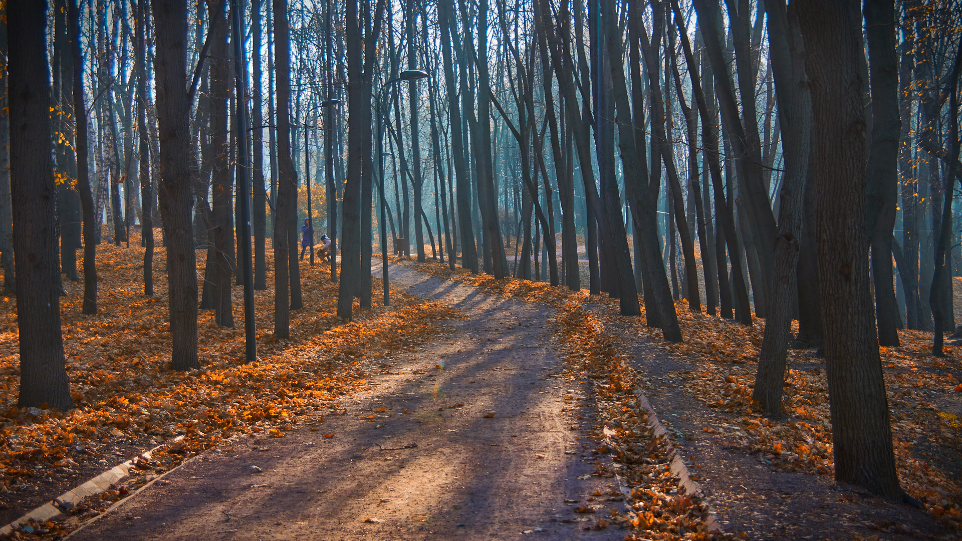 Sony SLT-A35 sample photo. В ноябре photography