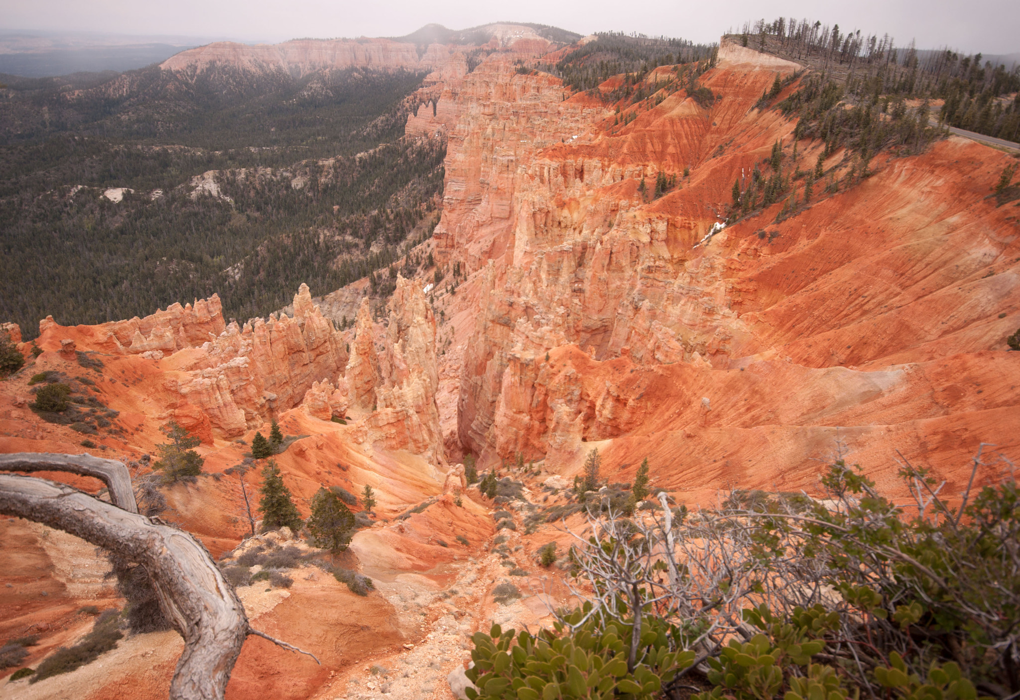 Pentax K10D + Sigma AF 10-20mm F4-5.6 EX DC sample photo. Bryce canyon photography