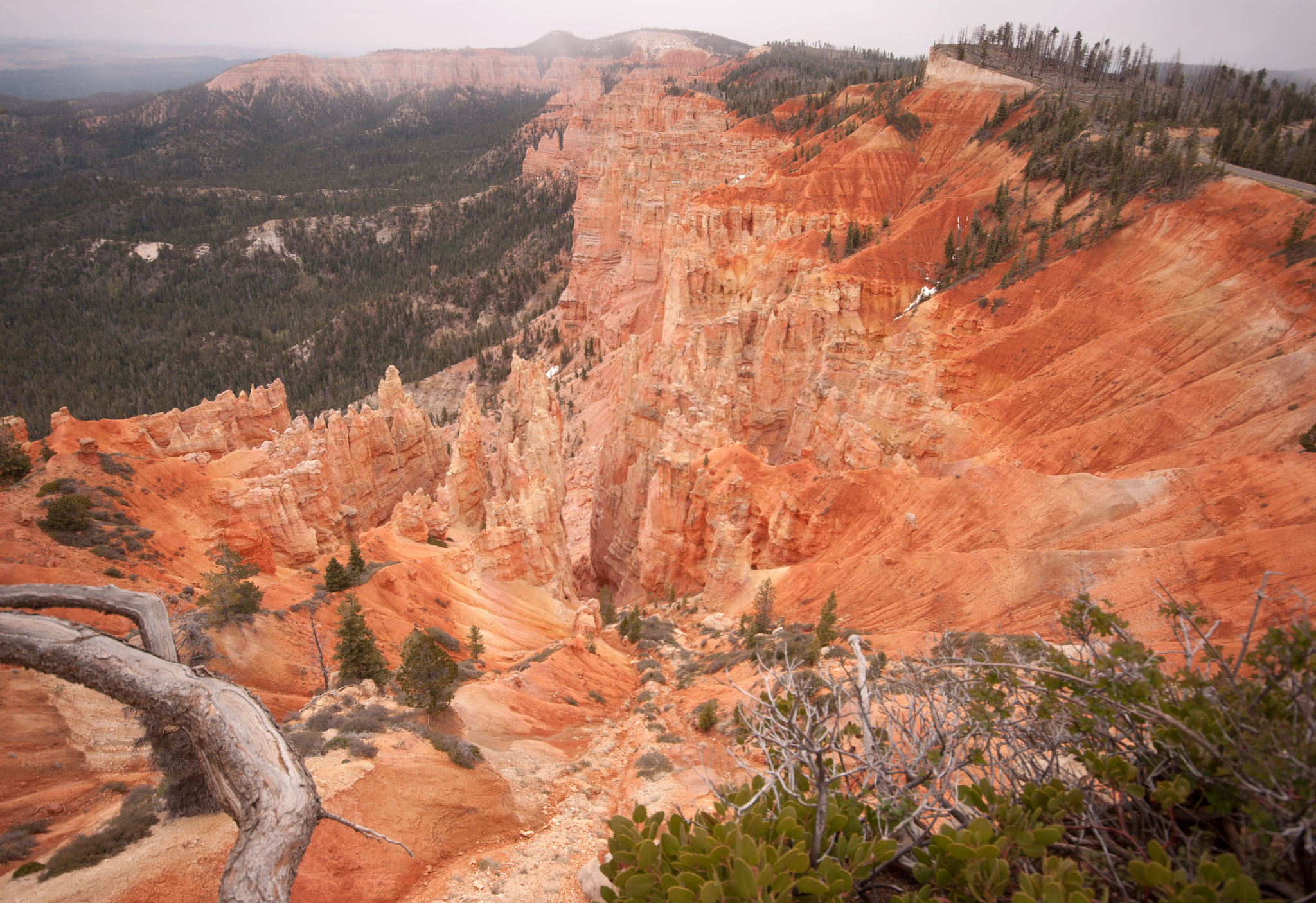 Pentax K10D sample photo. Bryce canyon photography