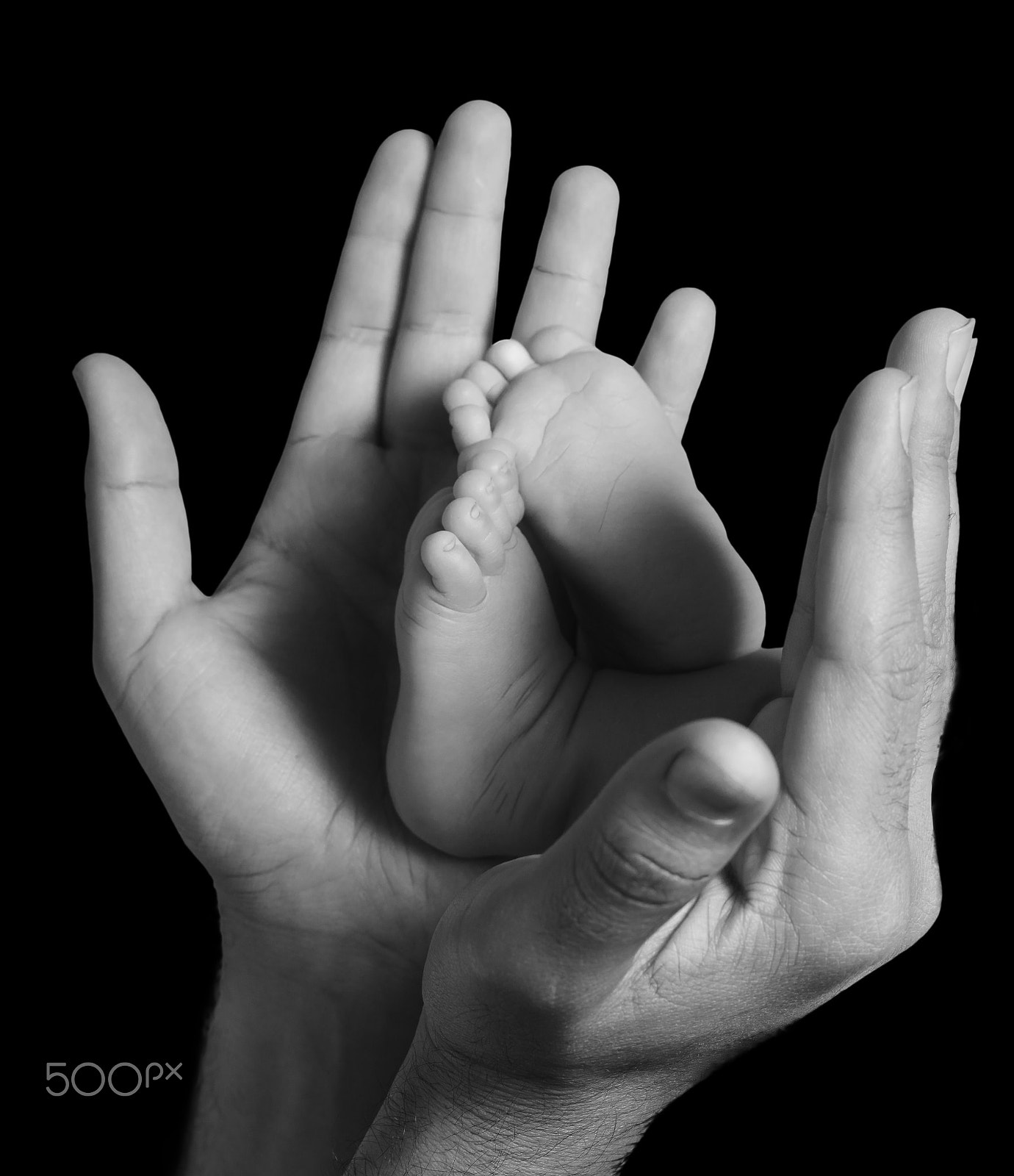 Canon EOS 5DS R + Canon EF 50mm F1.4 USM sample photo. Newborn feet inside hand photography