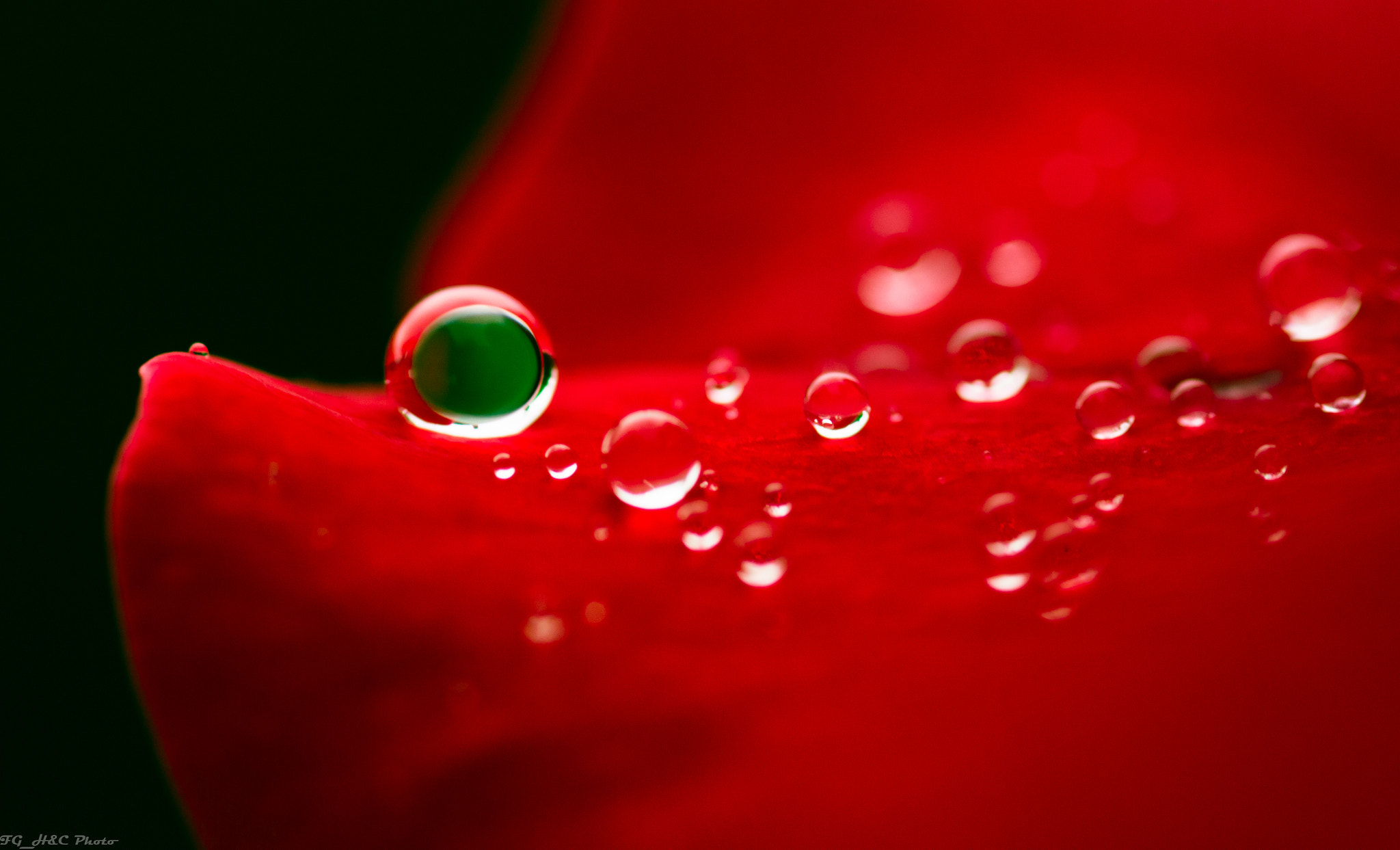 Canon EOS 70D + Canon EF 100mm F2.8 Macro USM sample photo. Droplets on red photography