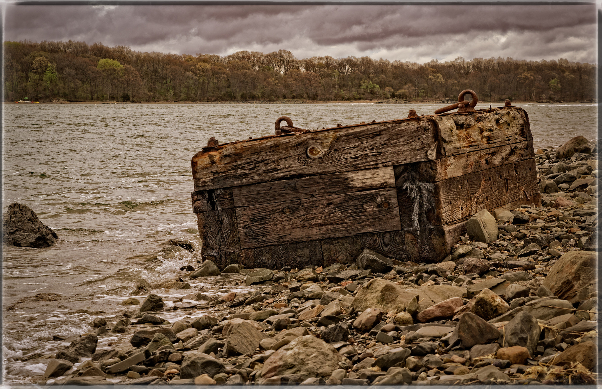 HD Pentax D FA 24-70mm F2.8 ED SDM WR sample photo. Camel washed ashore high tide ii photography