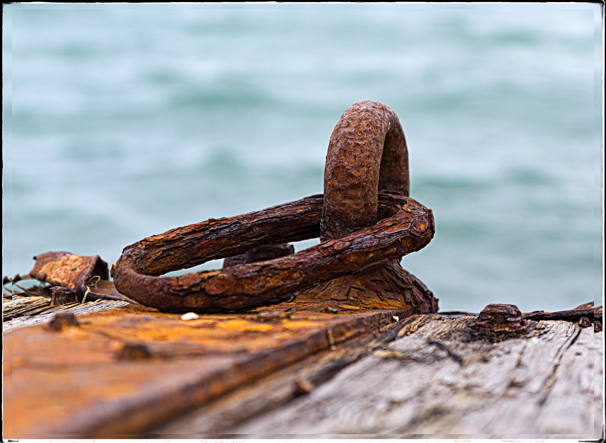HD Pentax D FA 24-70mm F2.8 ED SDM WR sample photo. Camel washed ashore boat tiedown photography