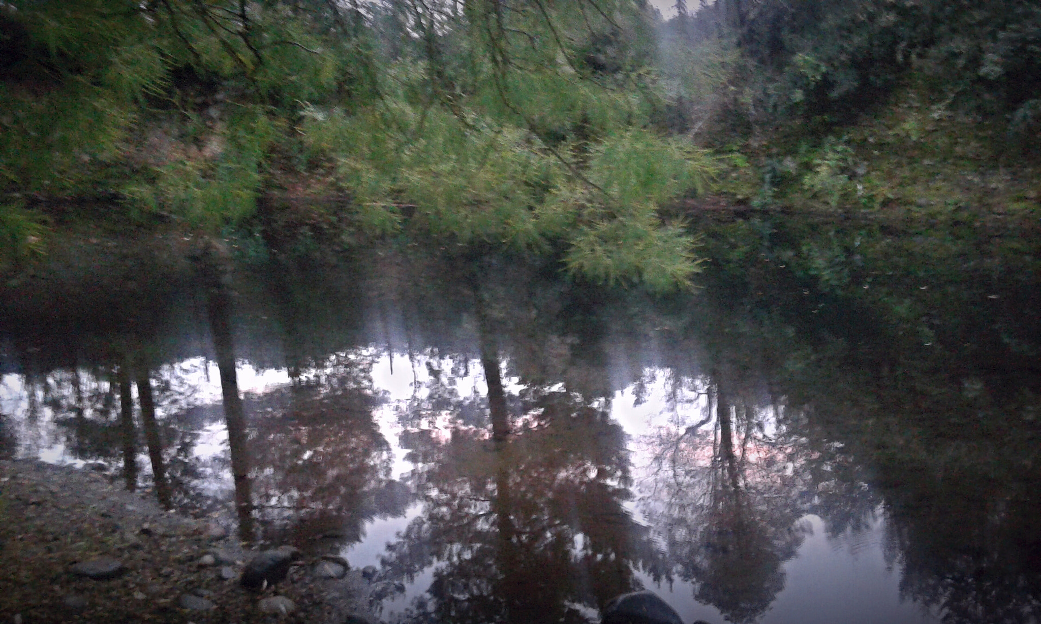 Samsung Galaxy Core2 sample photo. "reflexes" photography