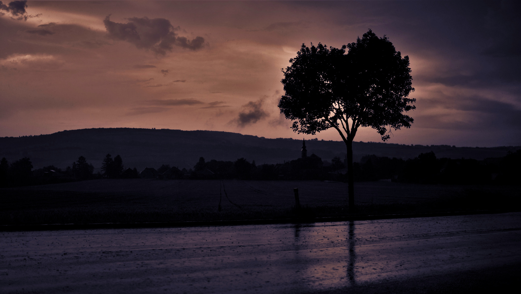 Sony a7R + Sony Distagon T* FE 35mm F1.4 ZA sample photo. Tree in the rain photography