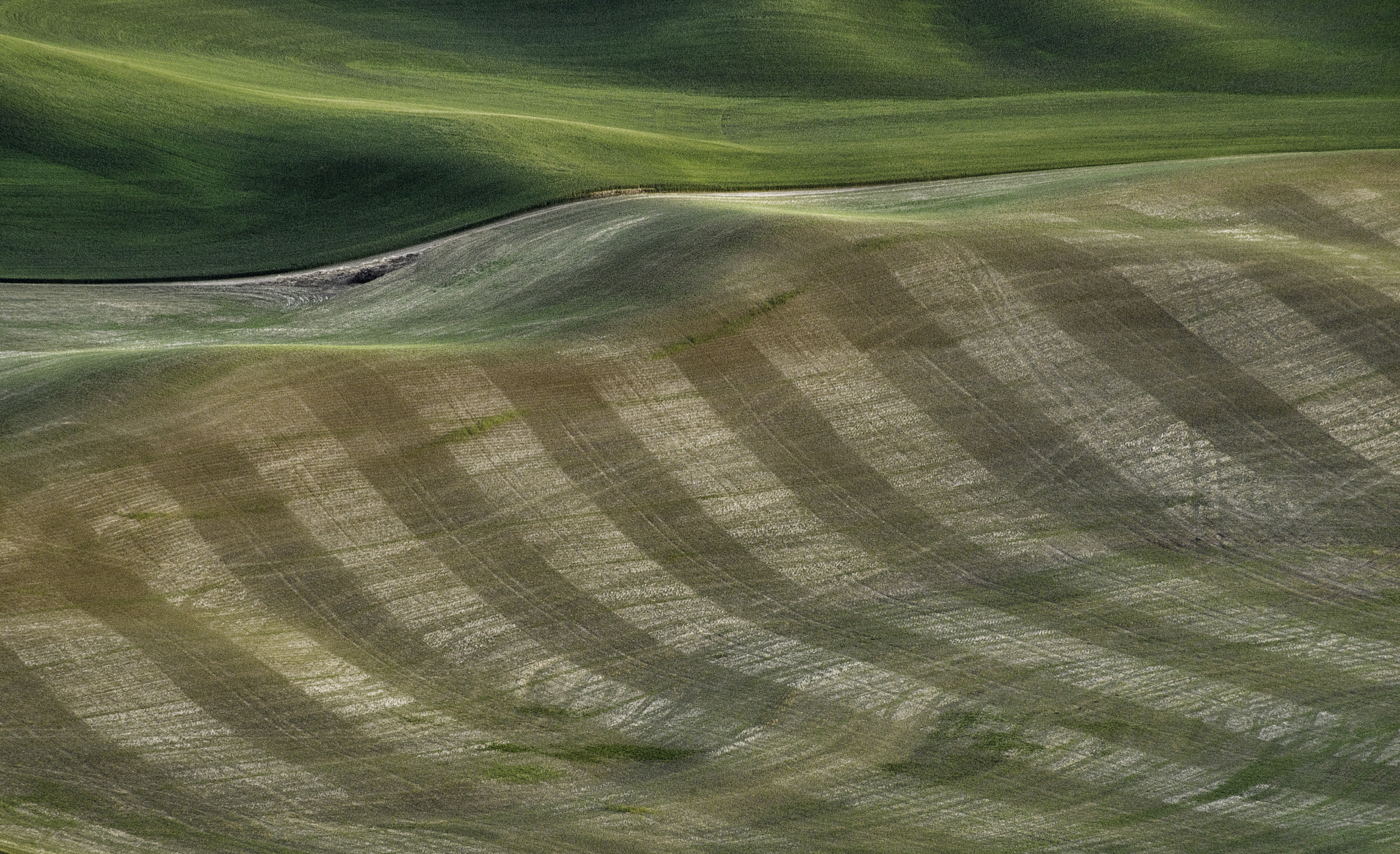 Sony 75-300mm F4.5-5.6 sample photo. Stripes photography
