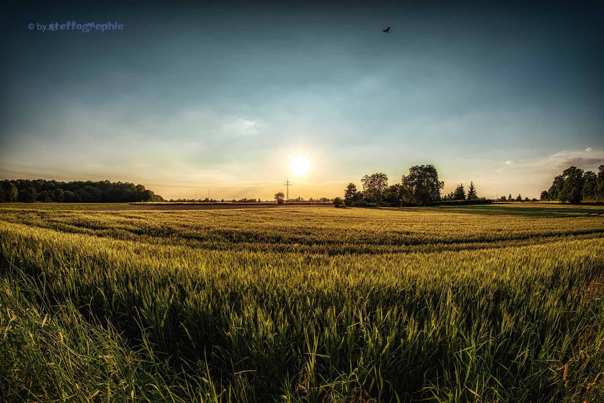 Samyang 12mm F2.8 ED AS NCS Fisheye sample photo. Samyang fishi twelfe landscape test photography