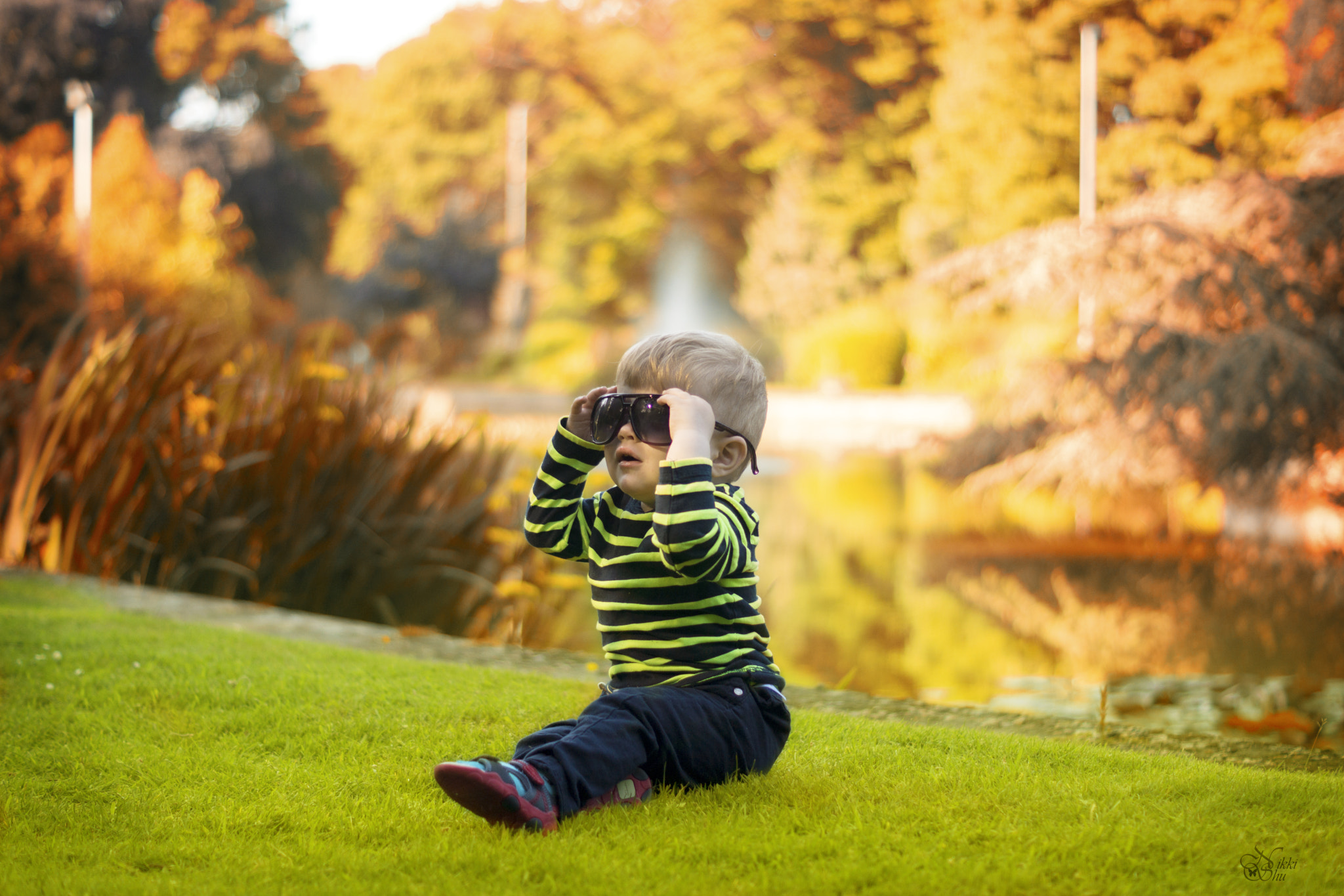 Sony SLT-A65 (SLT-A65V) + Sony DT 50mm F1.8 SAM sample photo. Anthony photography