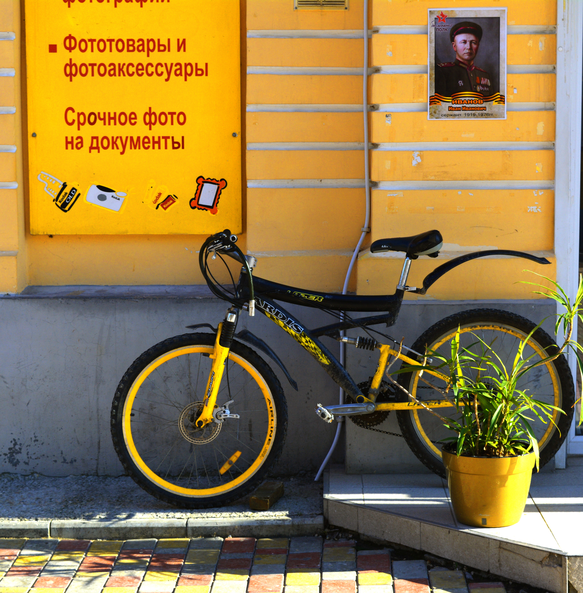 Nikon AF-Nikkor 80-200mm F2.8D ED sample photo. Yellow photography