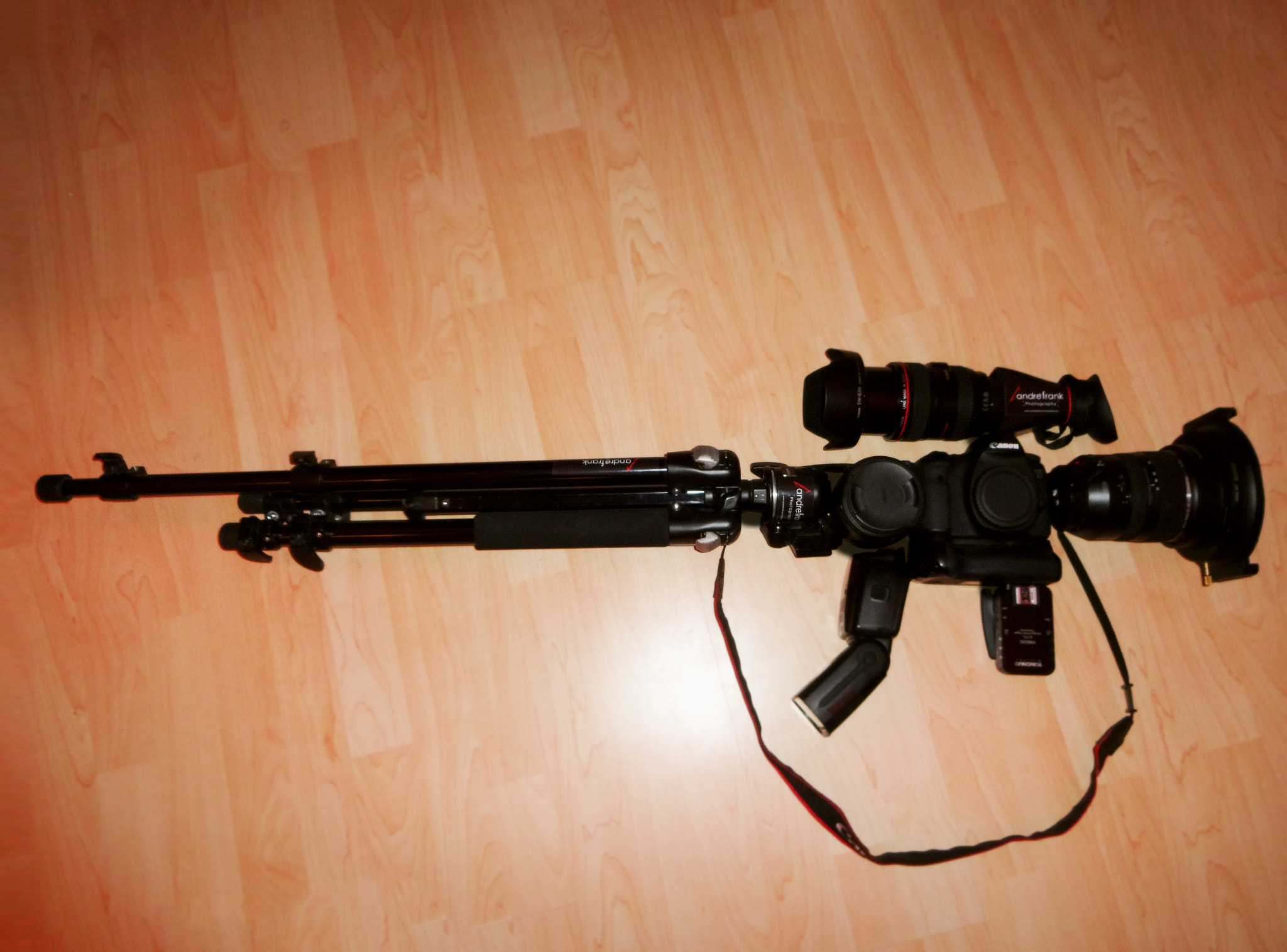 Sony DSC-WX200 sample photo. I shoot raw photography