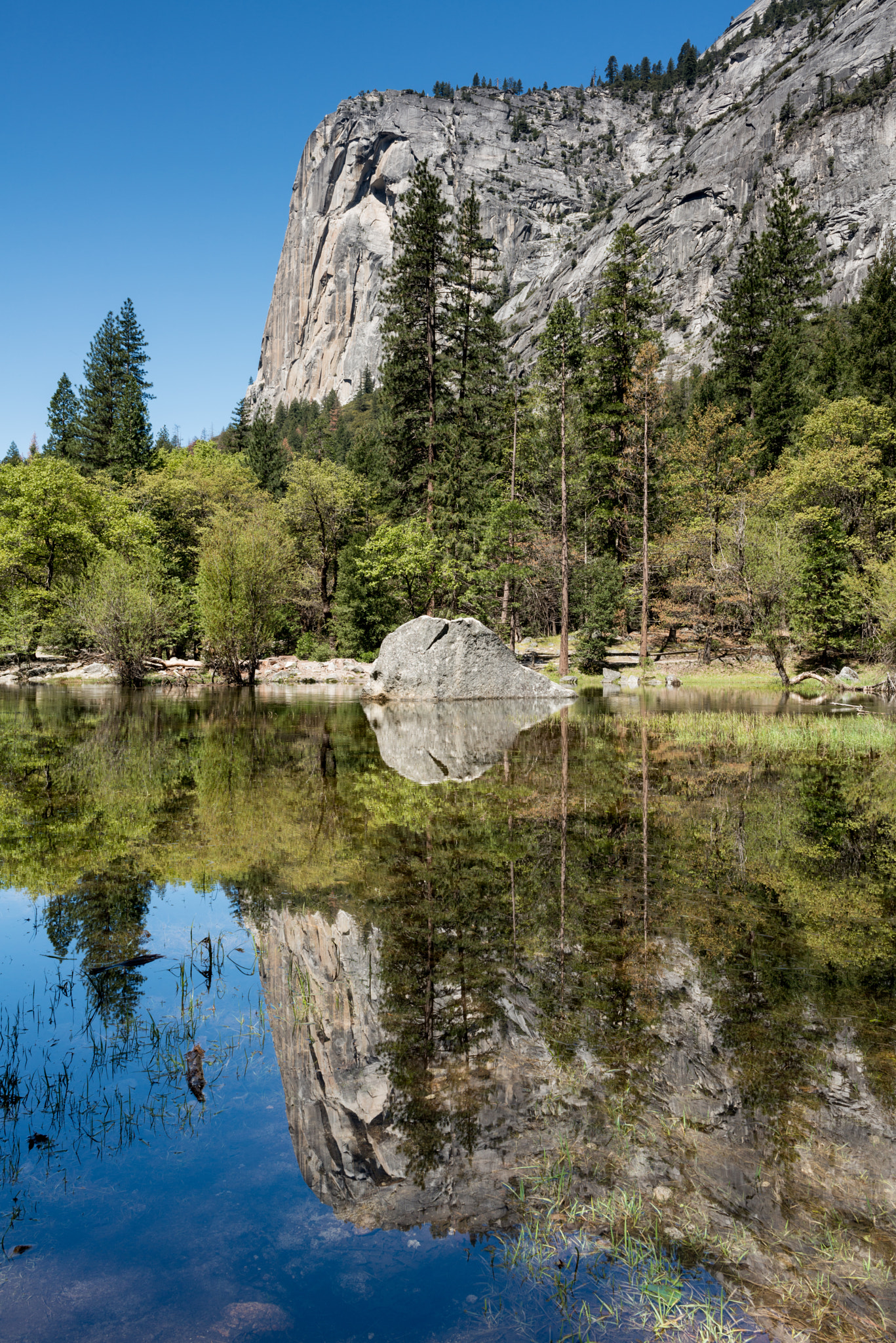 Nikon D800 + ZEISS Distagon T* 25mm F2.8 sample photo. Mirror lake photography
