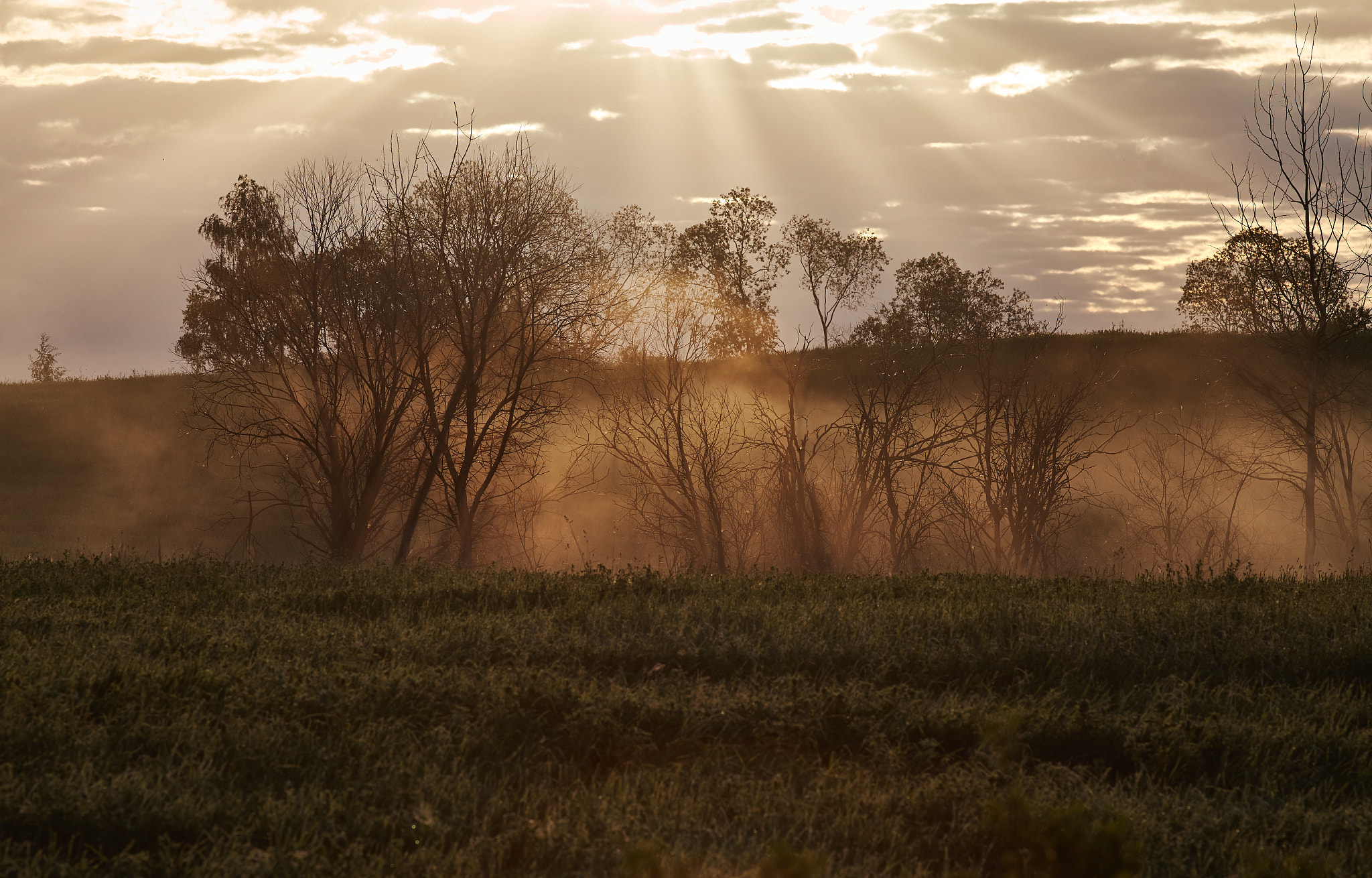 Canon EF 200mm F2.8L II USM sample photo. The morning mist photography