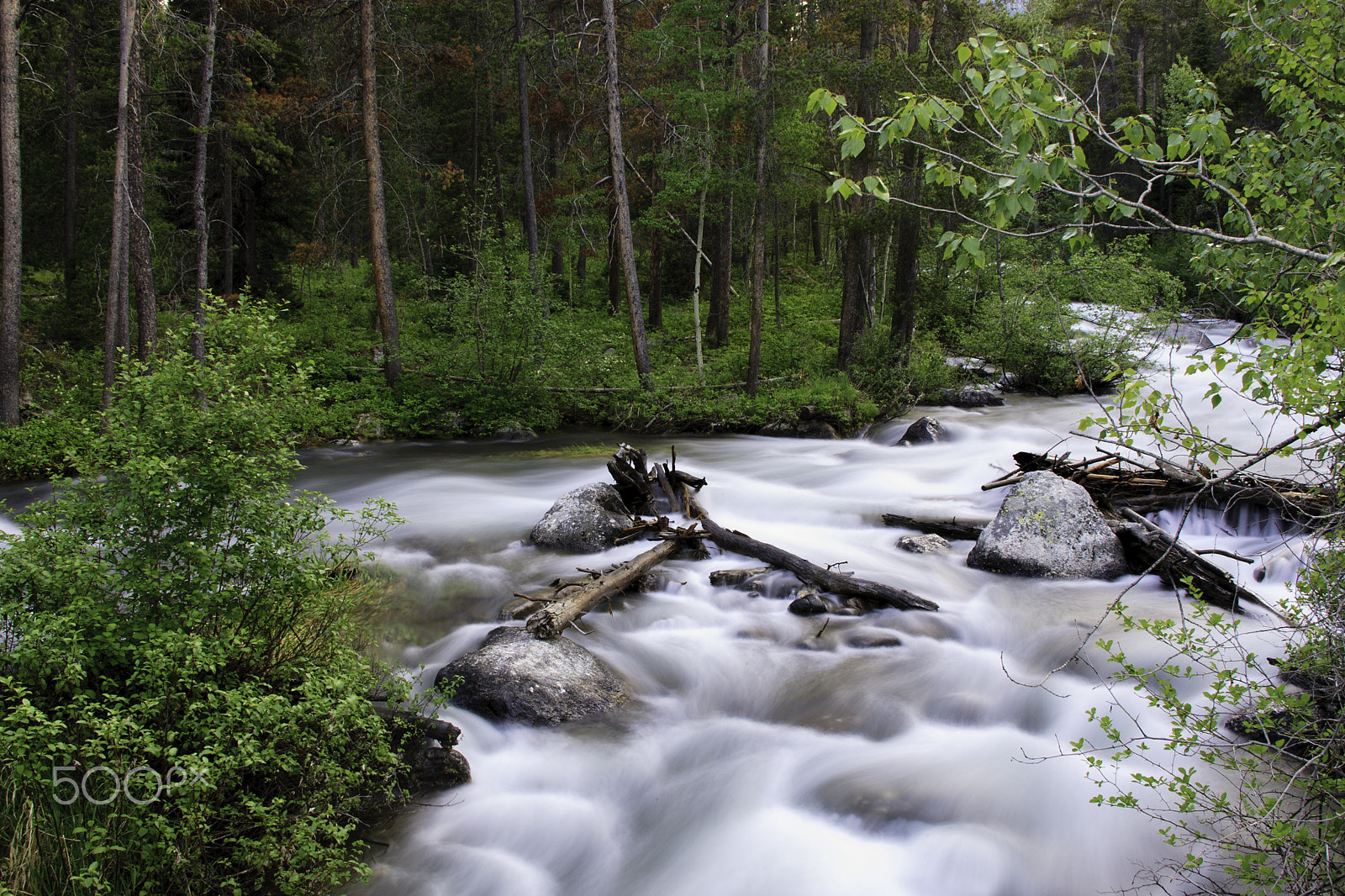 Canon EOS-1D Mark II sample photo. Grand tetons national park photography