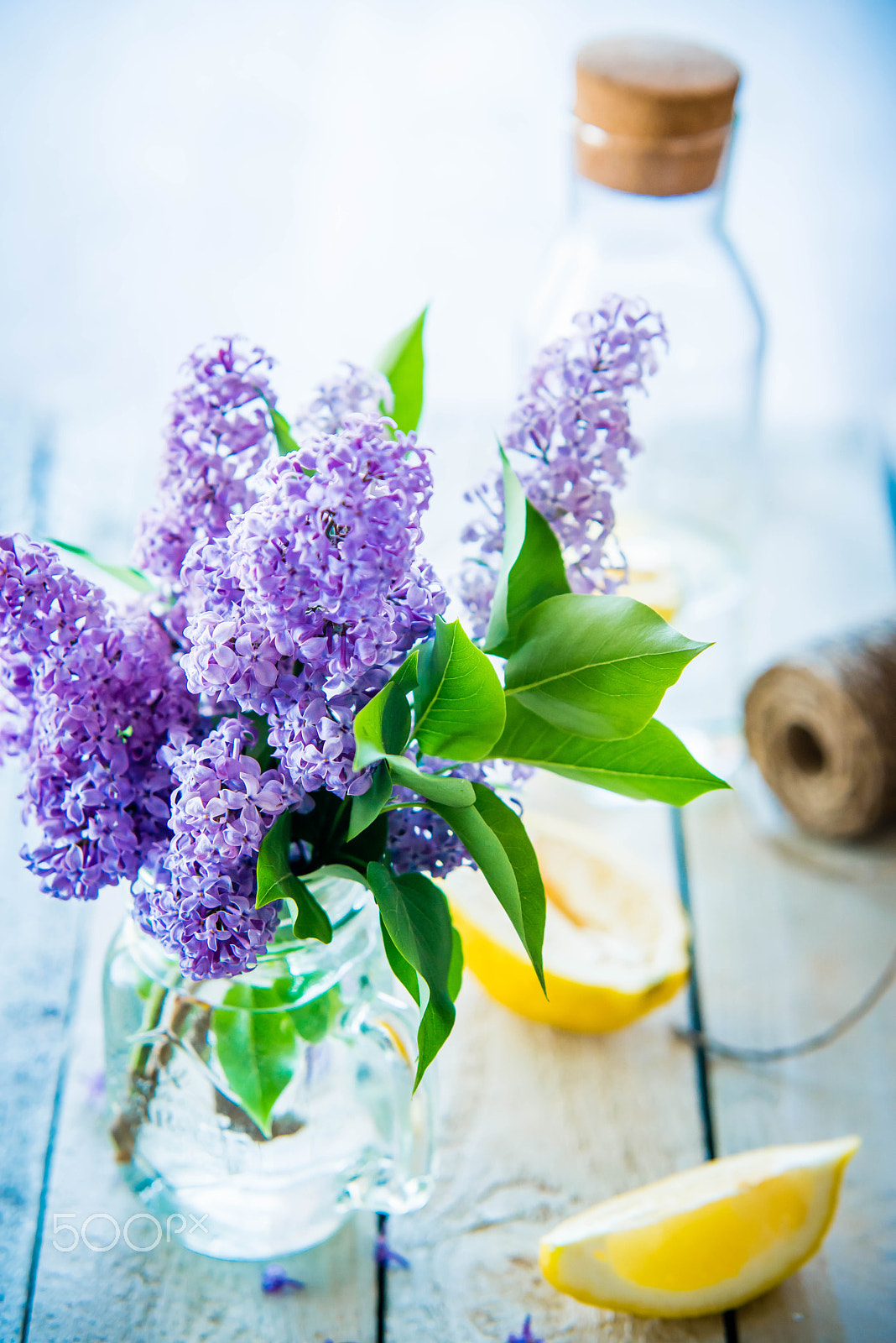Sigma 70-200mm F2.8 EX DG Macro HSM II sample photo. Lilac photography