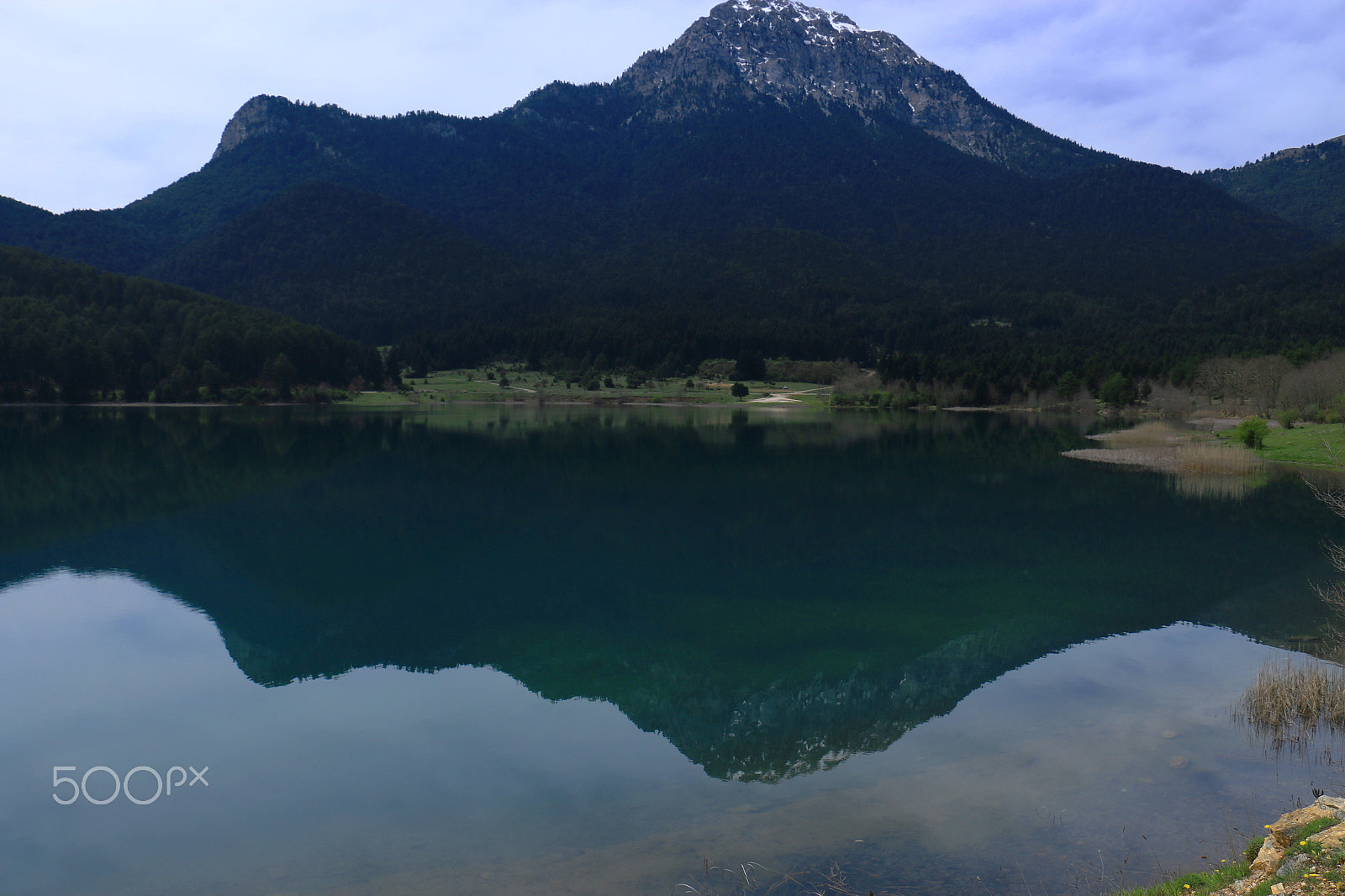 Canon EF 14mm F2.8L II USM sample photo. Symmetry in nature 02 photography