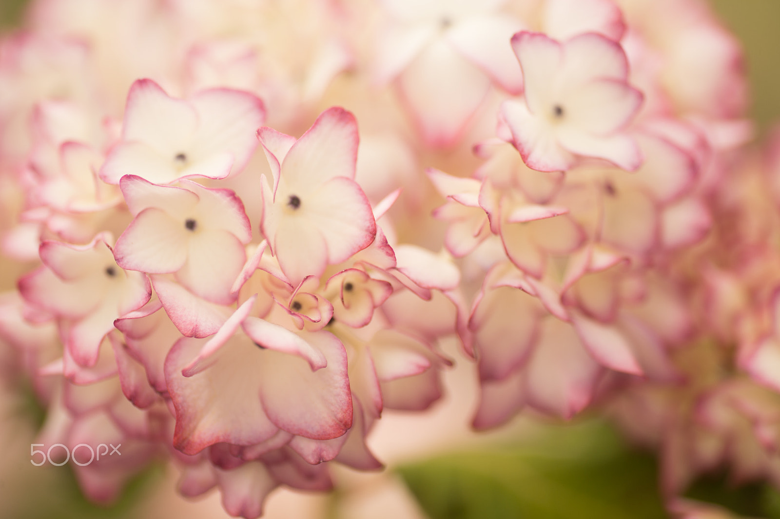 Nikon Df sample photo. It was able to meet this year photography