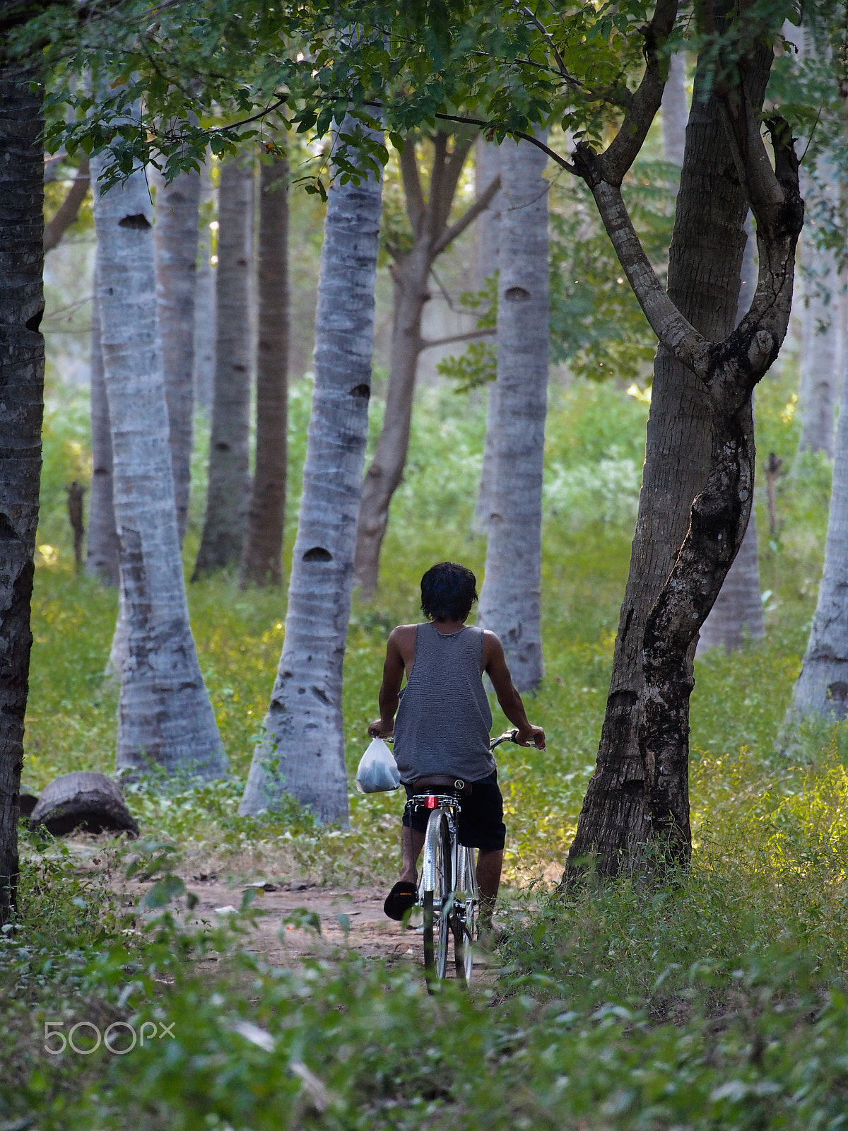 Olympus OM-D E-M5 + OLYMPUS M.75-300mm F4.8-6.7 sample photo. Cycling in the forest photography