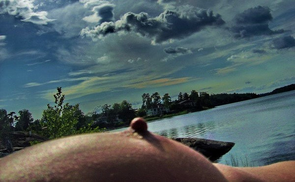 Sony DSC-P10 sample photo. Landshapes, drevviken photography