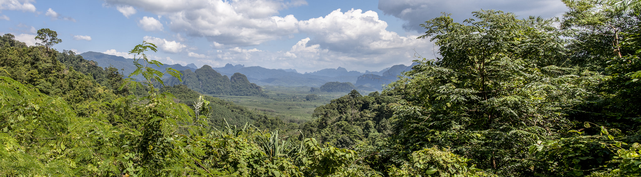 Canon EOS 1000D (EOS Digital Rebel XS / EOS Kiss F) sample photo. Khao sok photography