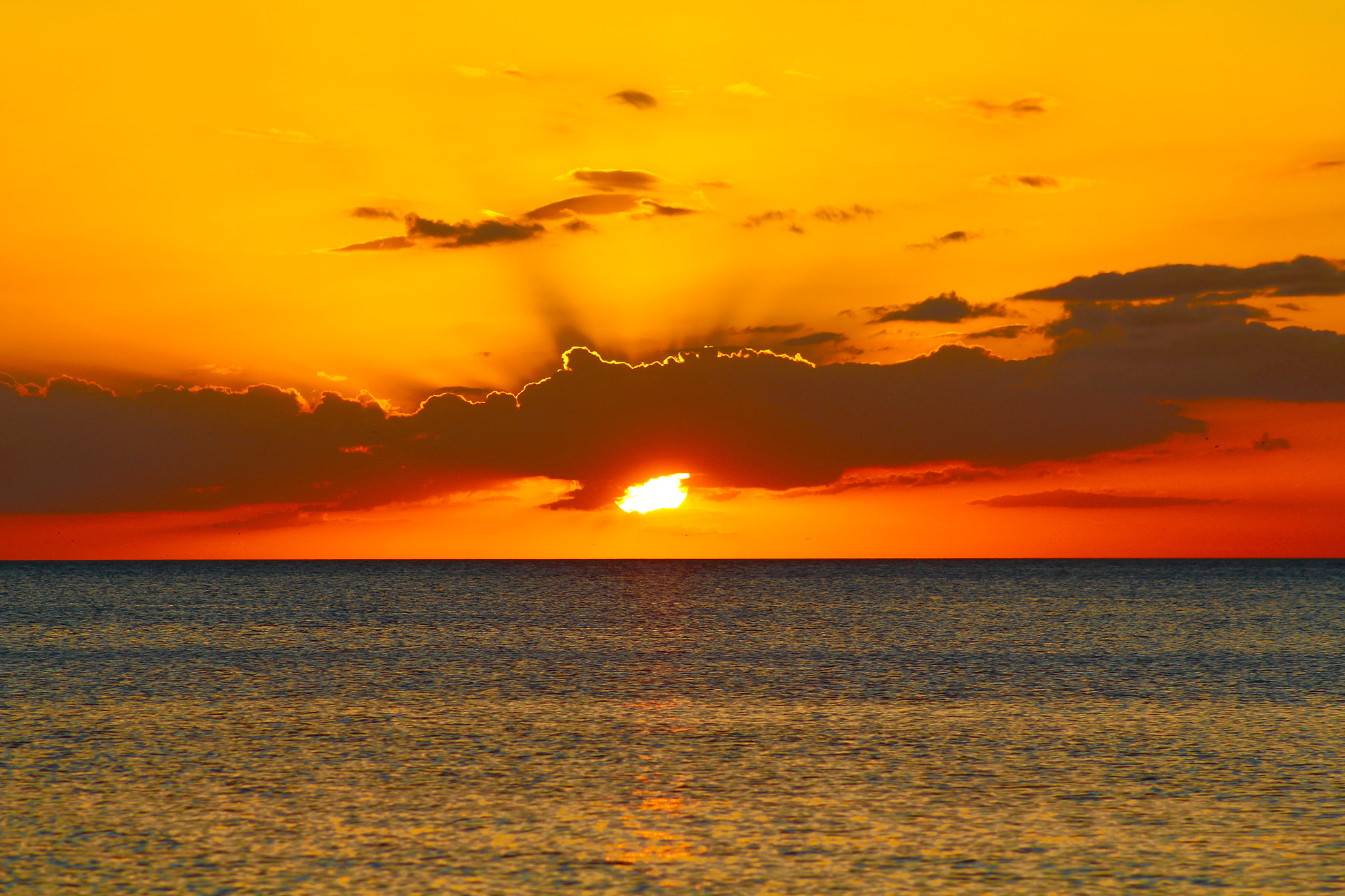 Canon EF75-300mm f/4-5.6 sample photo. Image photography