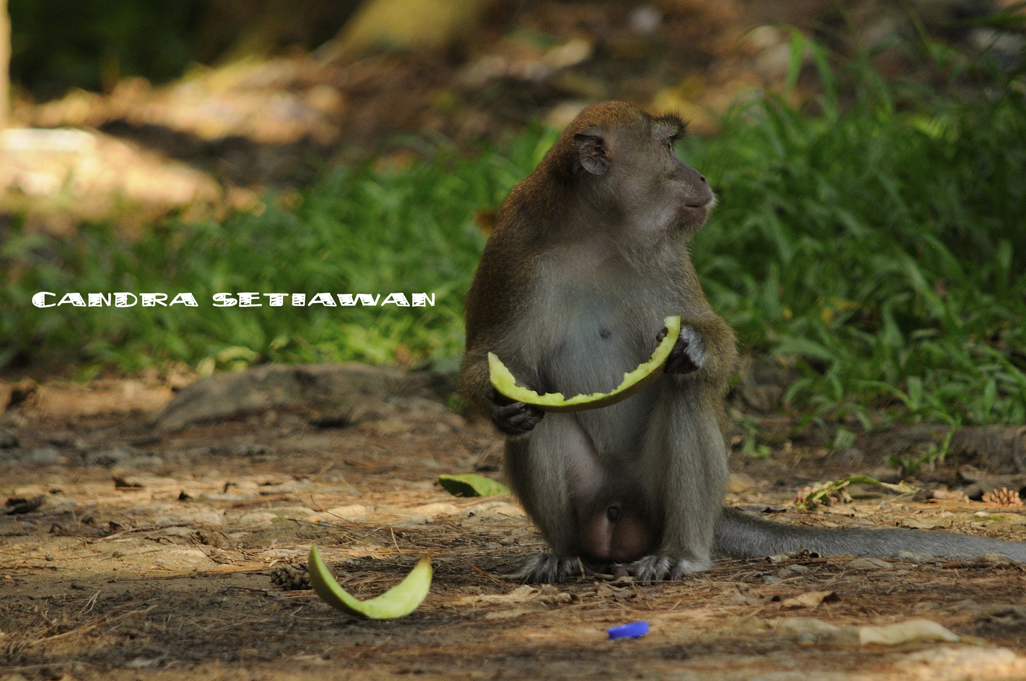 Nikon D300S sample photo. Do not bother us, we also need to eat photography