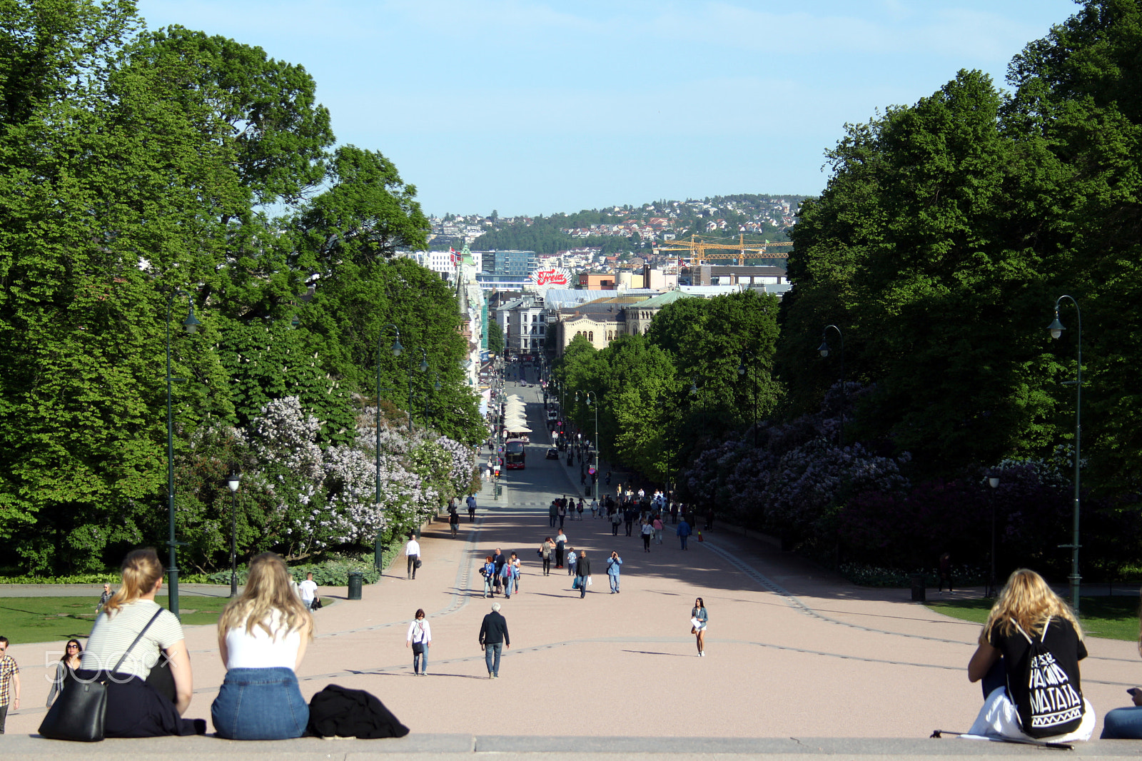 Canon EF-S 18-55mm F3.5-5.6 sample photo. Oslo - may 2016 photography