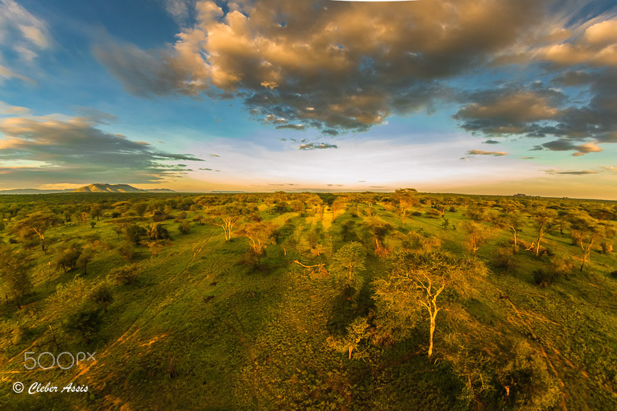 Canon EF 8-15mm F4L Fisheye USM sample photo. Vida selvagem photography