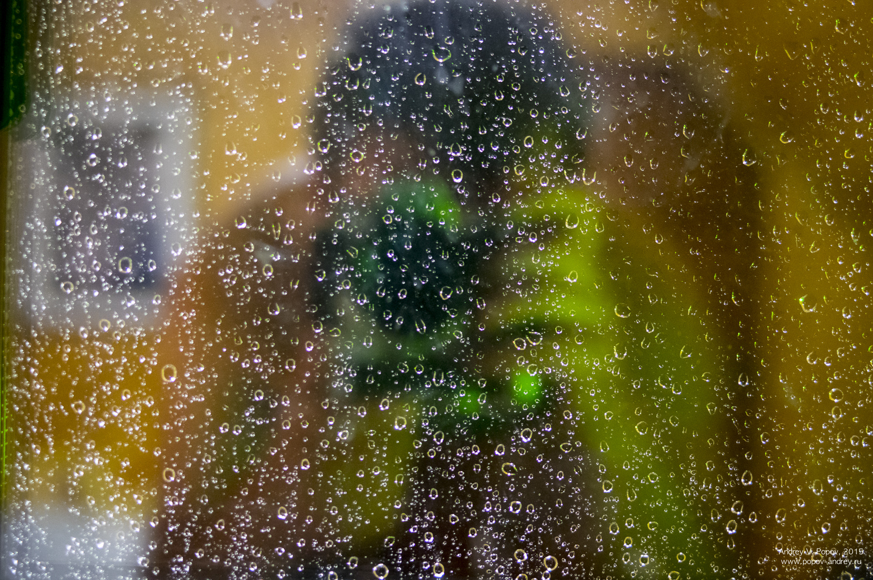 Pentax K-3 + Pentax smc FA 31mm F1.8 AL Limited sample photo. Rainy selfie #1 photography