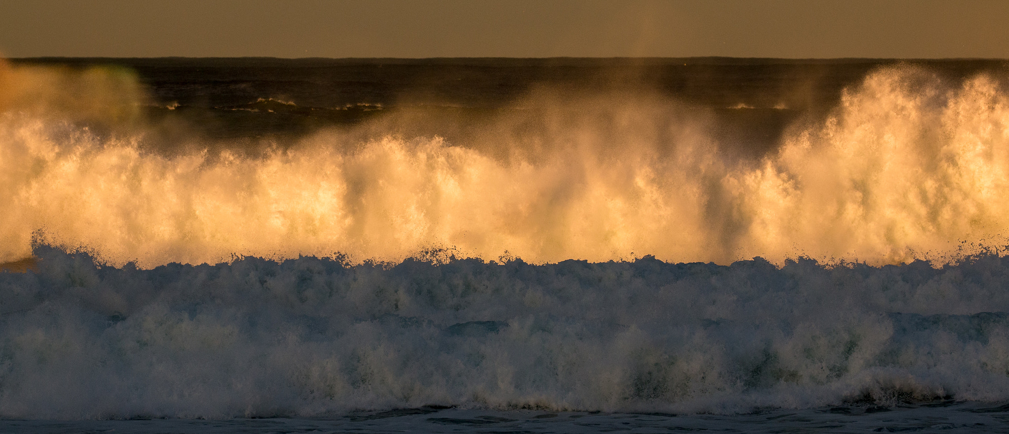 Canon EF 100-400mm F4.5-5.6L IS II USM sample photo. Wild wild wild photography