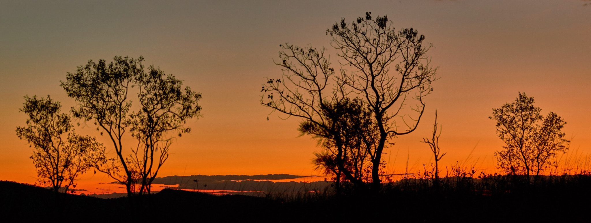 Phase One IQ3 100MP + Schneider LS 80mm f/2.8 sample photo. Sunset on telegraph hill, kununurra, australia photography