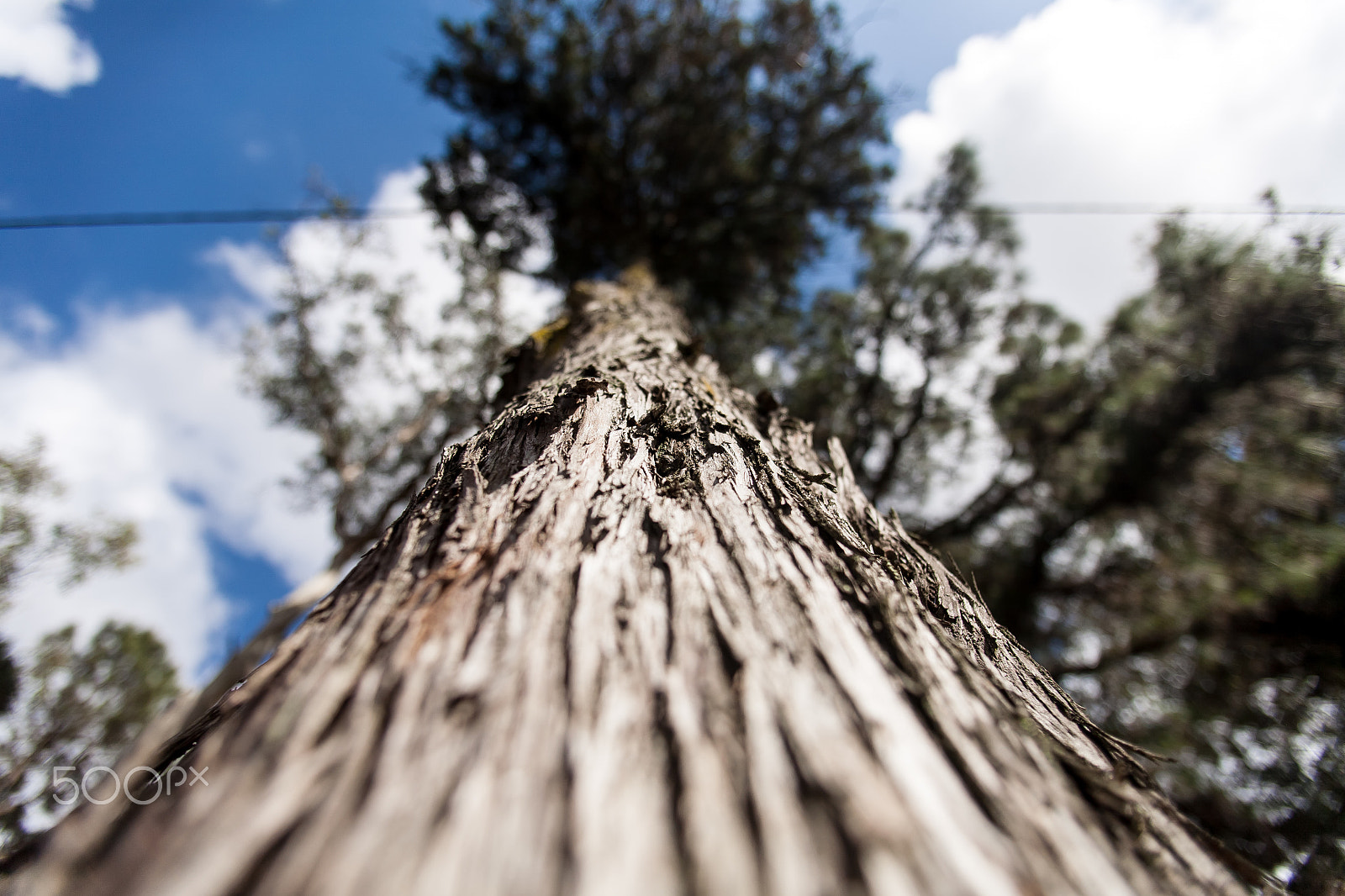 Canon EOS 5D + Canon EF 17-35mm f/2.8L sample photo. Amoung nature photography