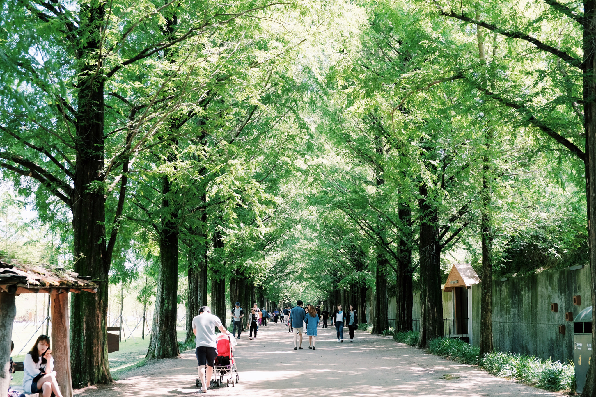 Fujifilm X-Pro2 + ZEISS Touit 32mm F1.8 sample photo. Untitled photography