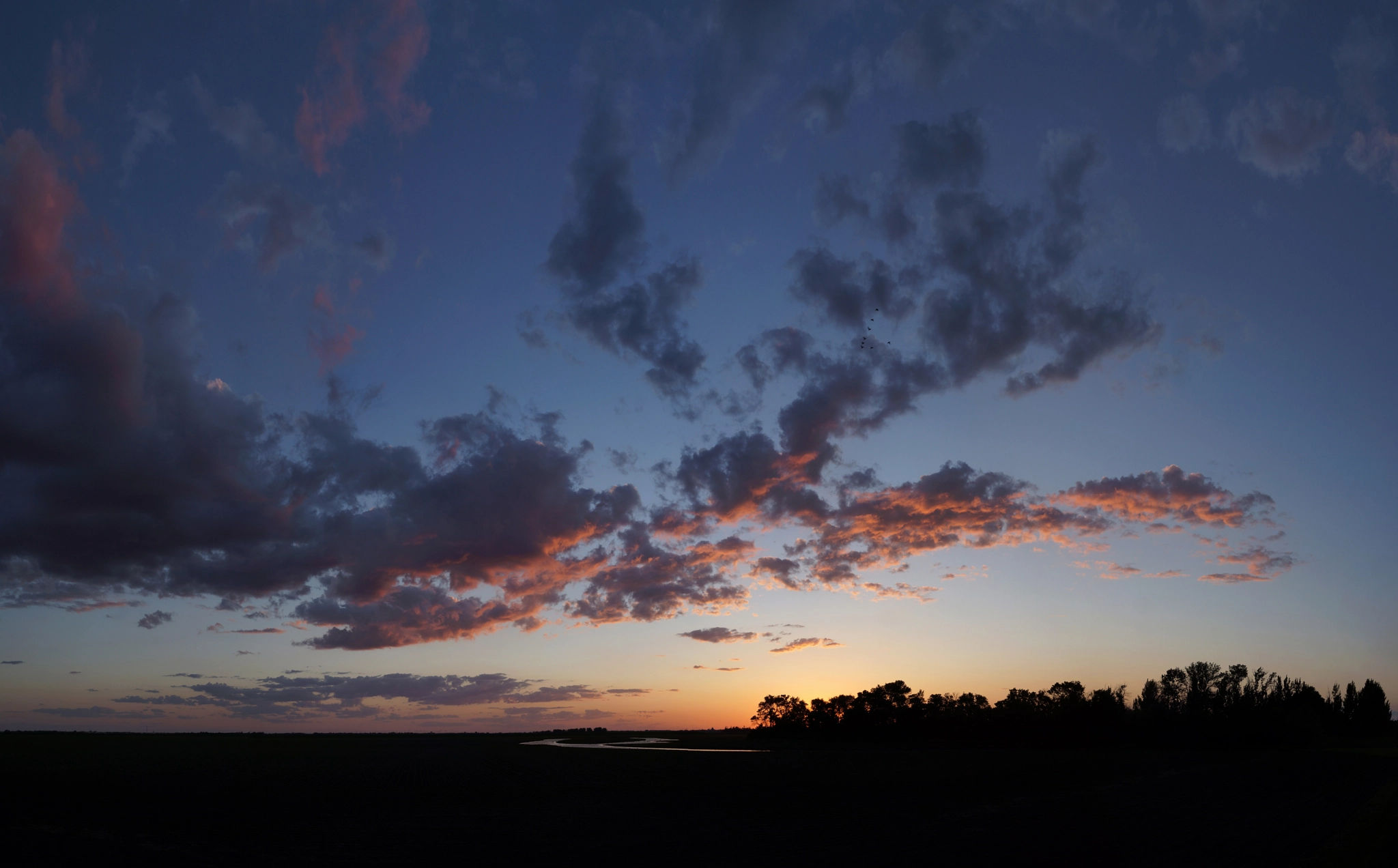 Sony Alpha NEX-7 + Sony Sonnar T* E 24mm F1.8 ZA sample photo. V formation photography