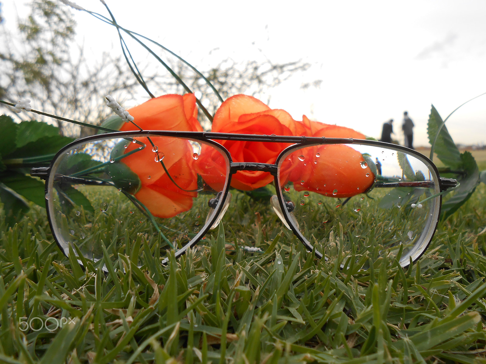 Nikon Coolpix S4300 sample photo. Ver mas a fondo photography