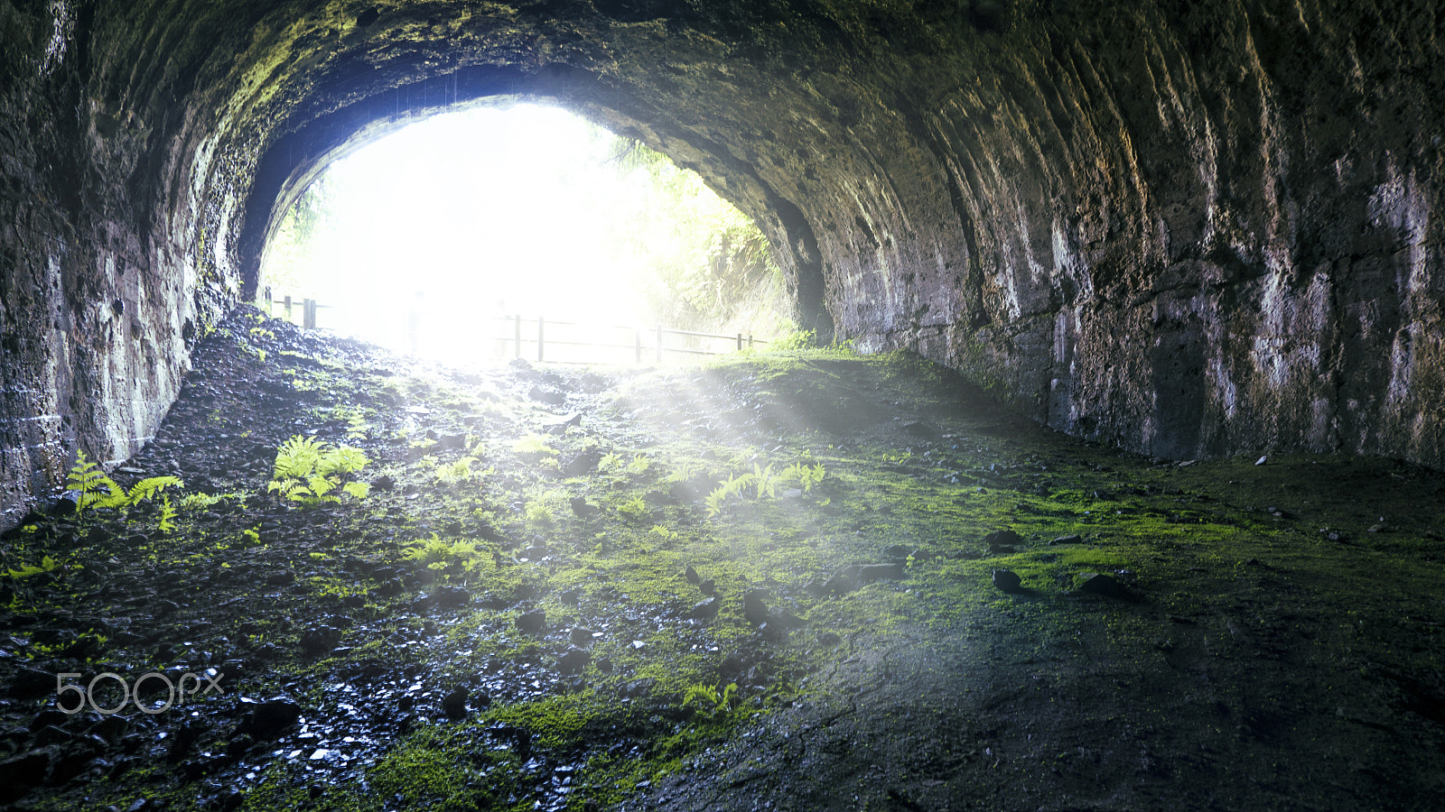 Panasonic Lumix G Vario 7-14mm F4 ASPH sample photo. Misty cave photography
