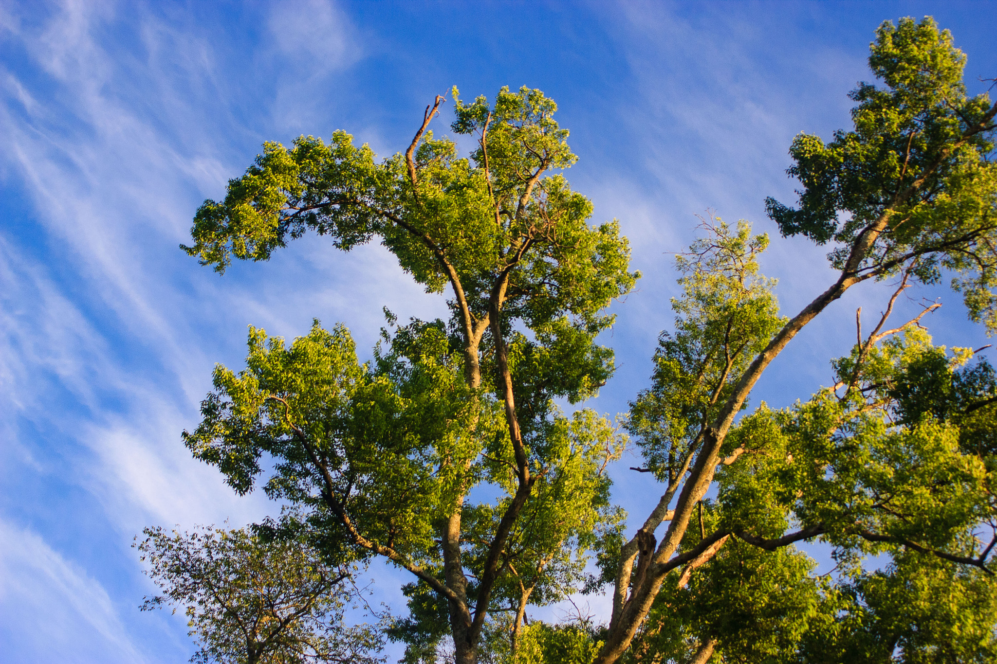 Canon EF 35-80mm f/4-5.6 sample photo. Summer breeze photography