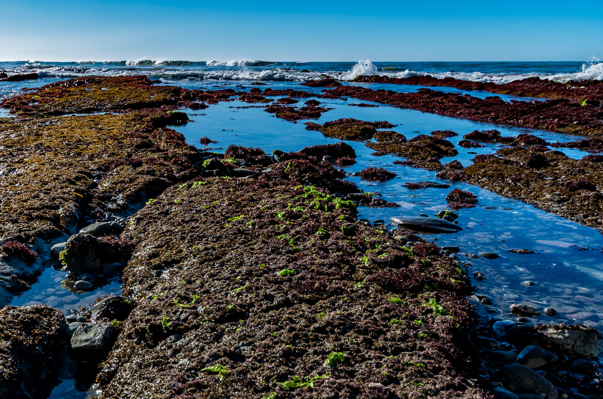 Sigma AF 10-20mm F4-5.6 EX DC sample photo. Rock pools photography