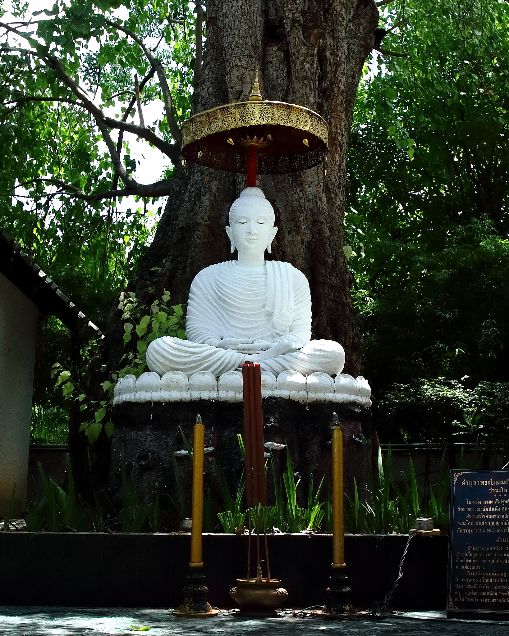 Canon EF 24mm F1.4L II USM sample photo. Buddha photography