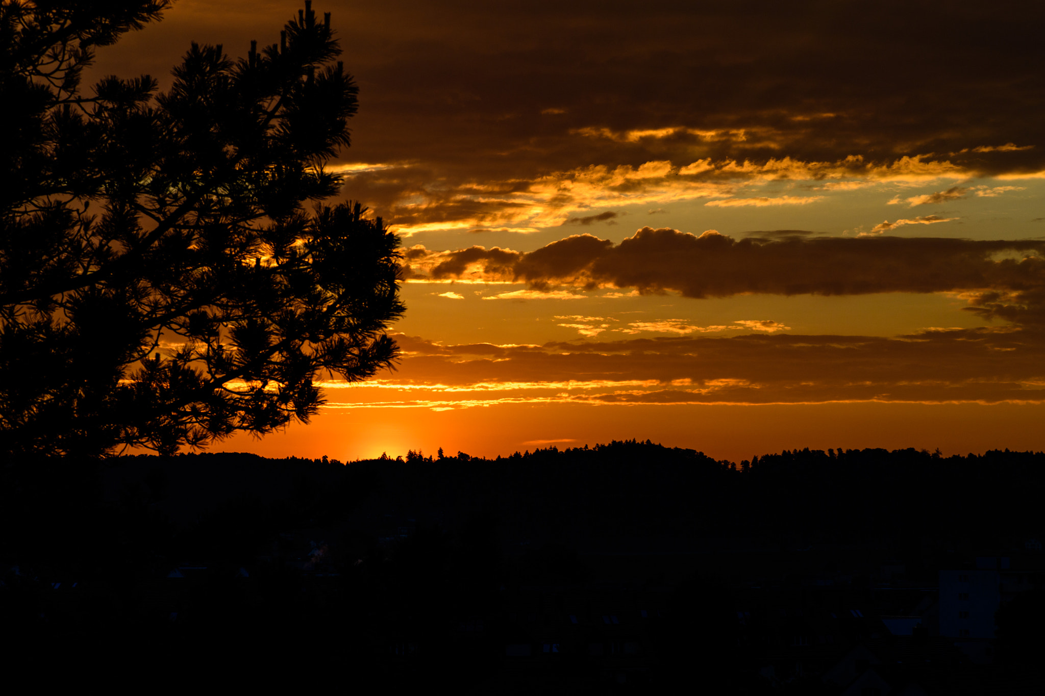 Nikon D5 sample photo. Sun - you are welcome (pidu) photography