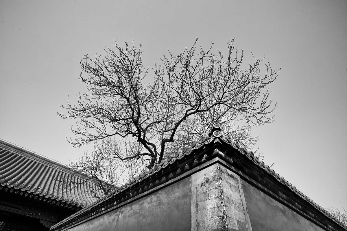 Nikon D3X sample photo