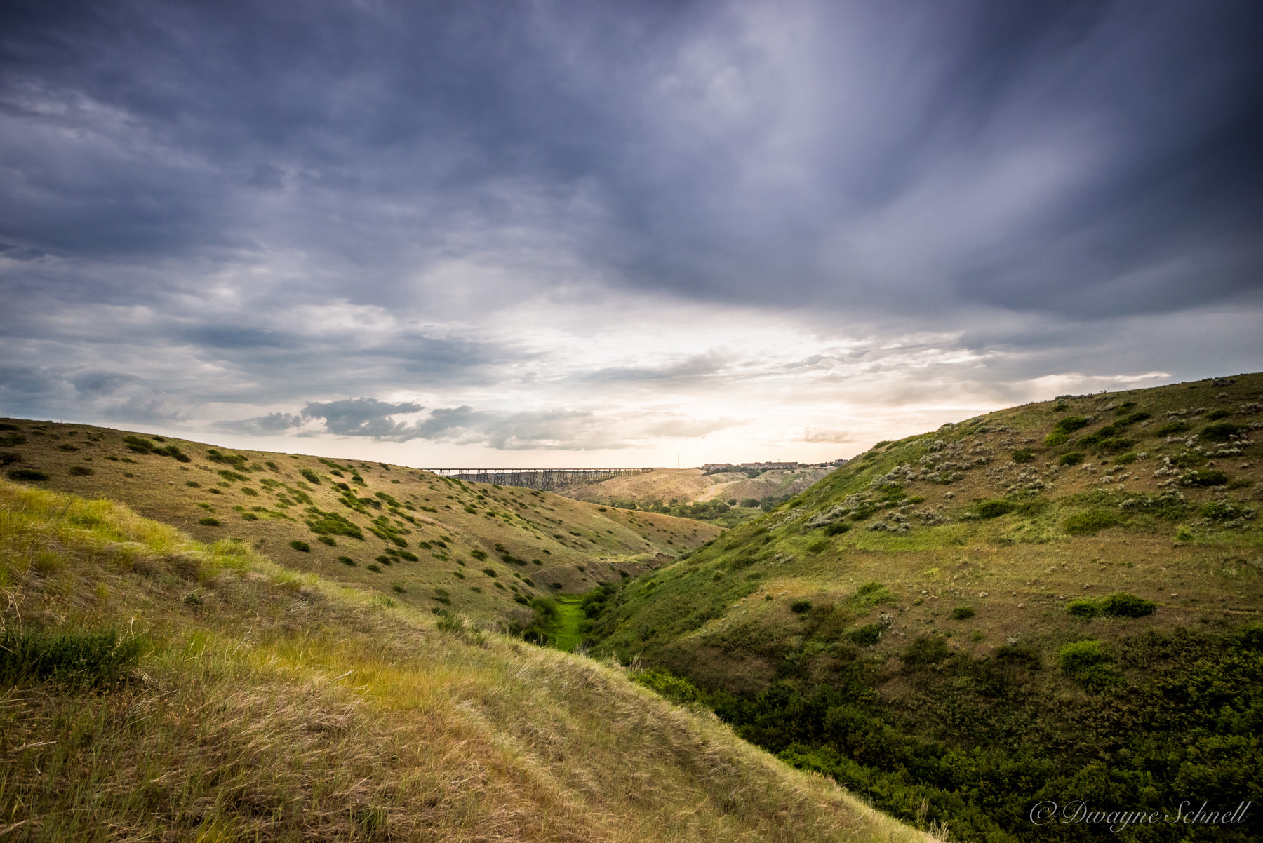 Nikon D610 + Sigma 20mm F1.8 EX DG Aspherical RF sample photo. The coulee photography