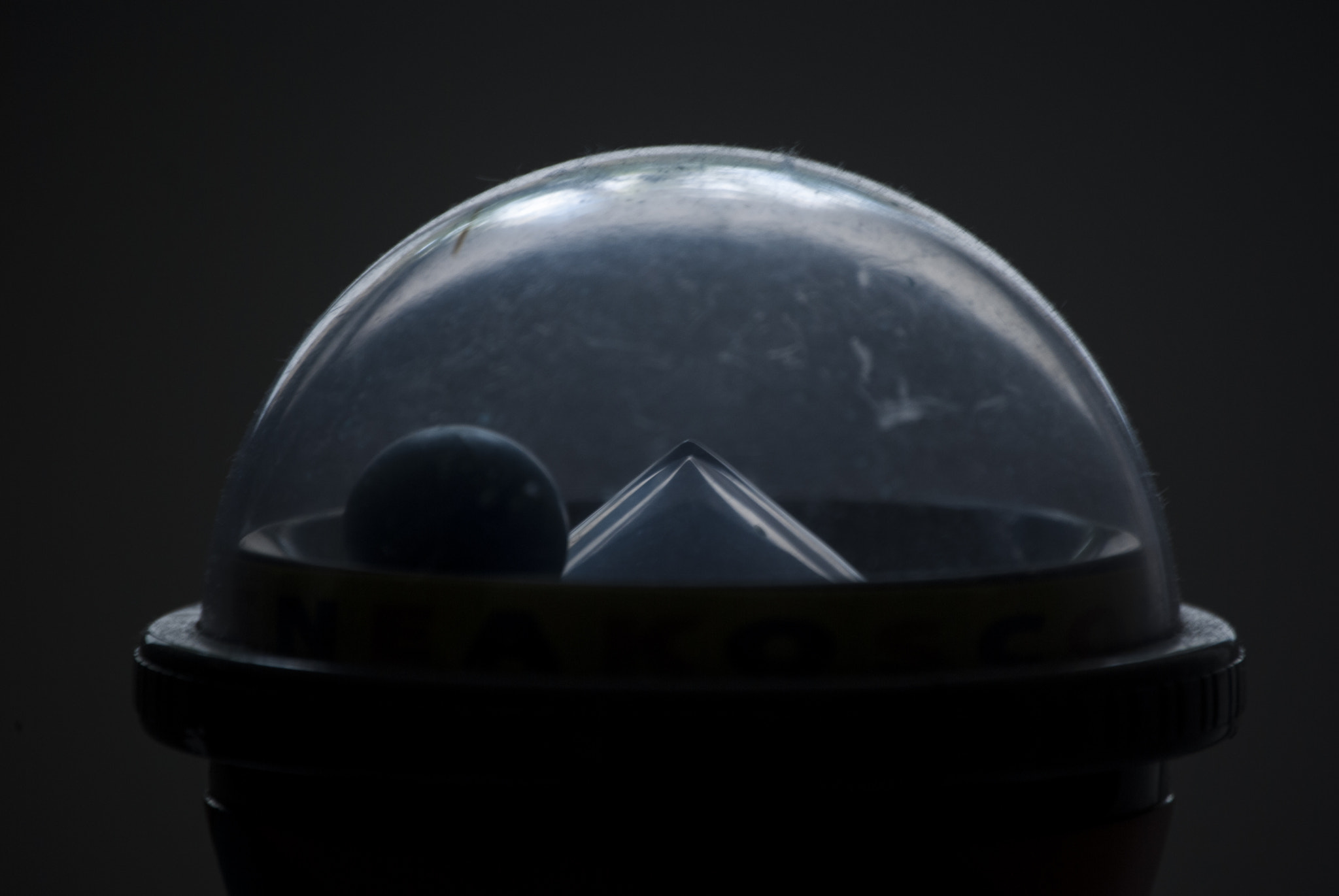 Nikon D40X sample photo. Under the dome photography