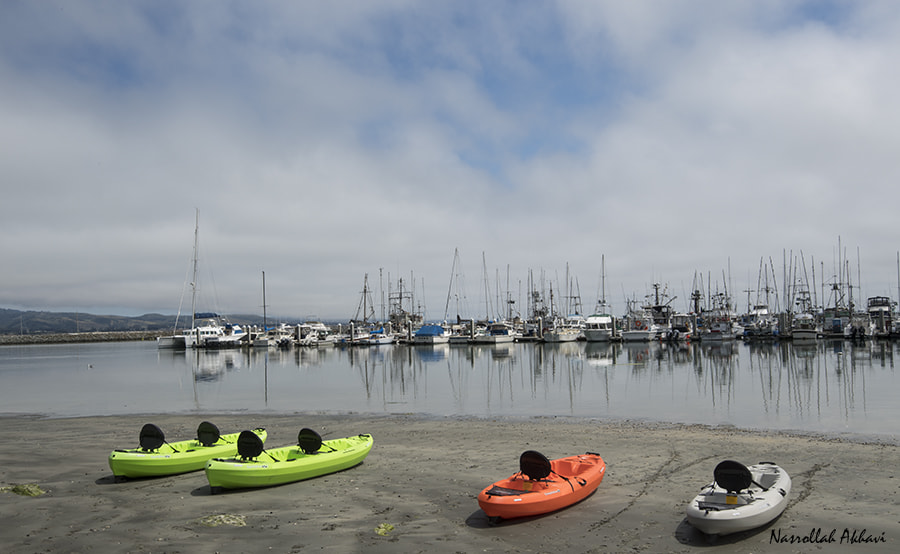 Nikon D5 sample photo. Half moon bay photography