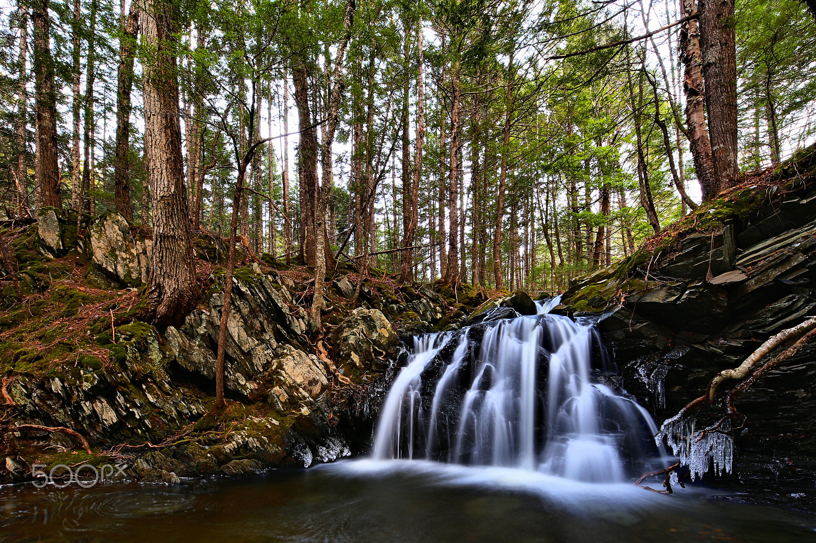 Canon TS-E 17mm F4L Tilt-Shift sample photo. Woodland waterfall and icicles photography
