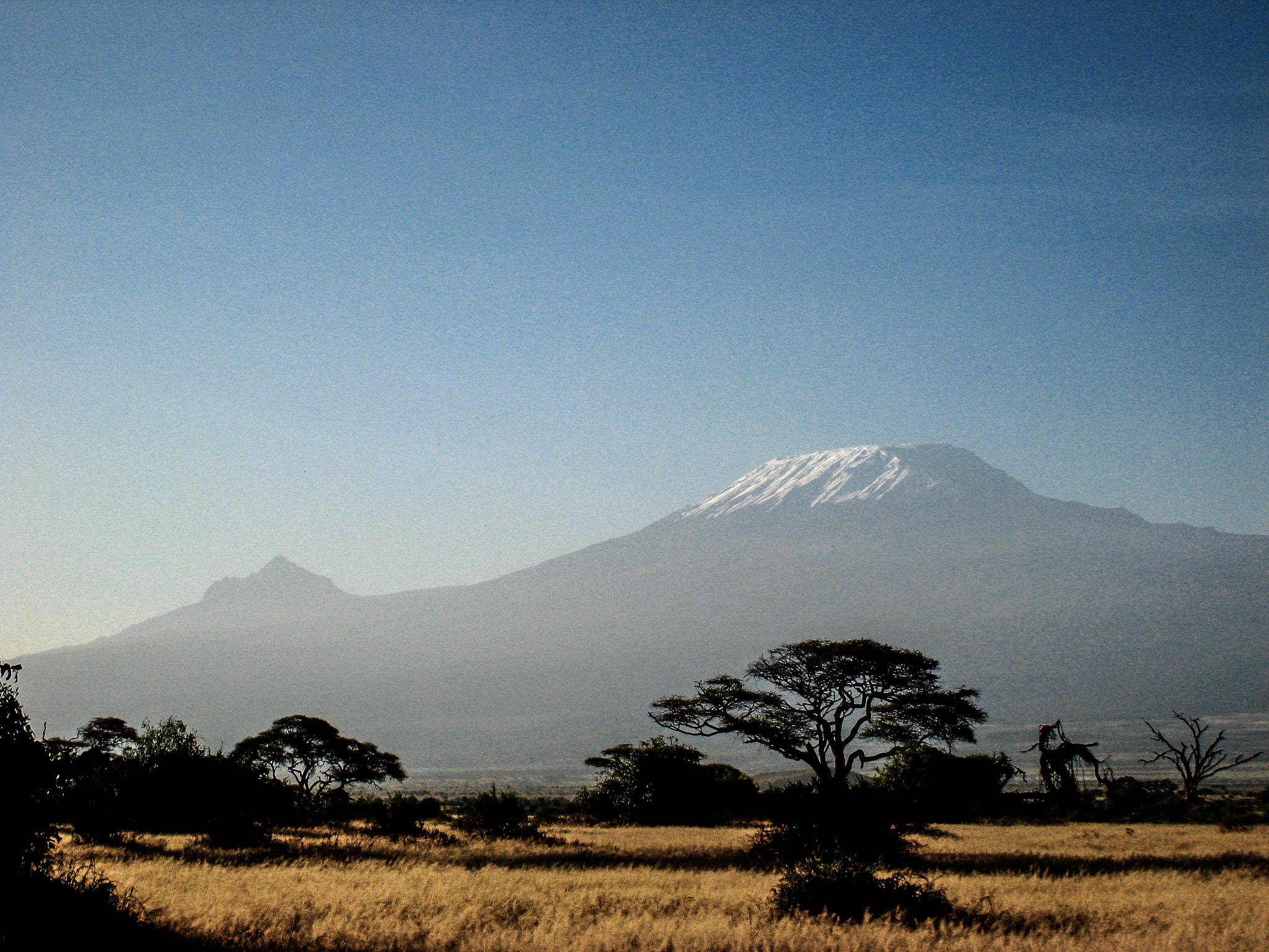 Canon DIGITAL IXUS 850 IS sample photo. Kilimanjaro in the morning photography